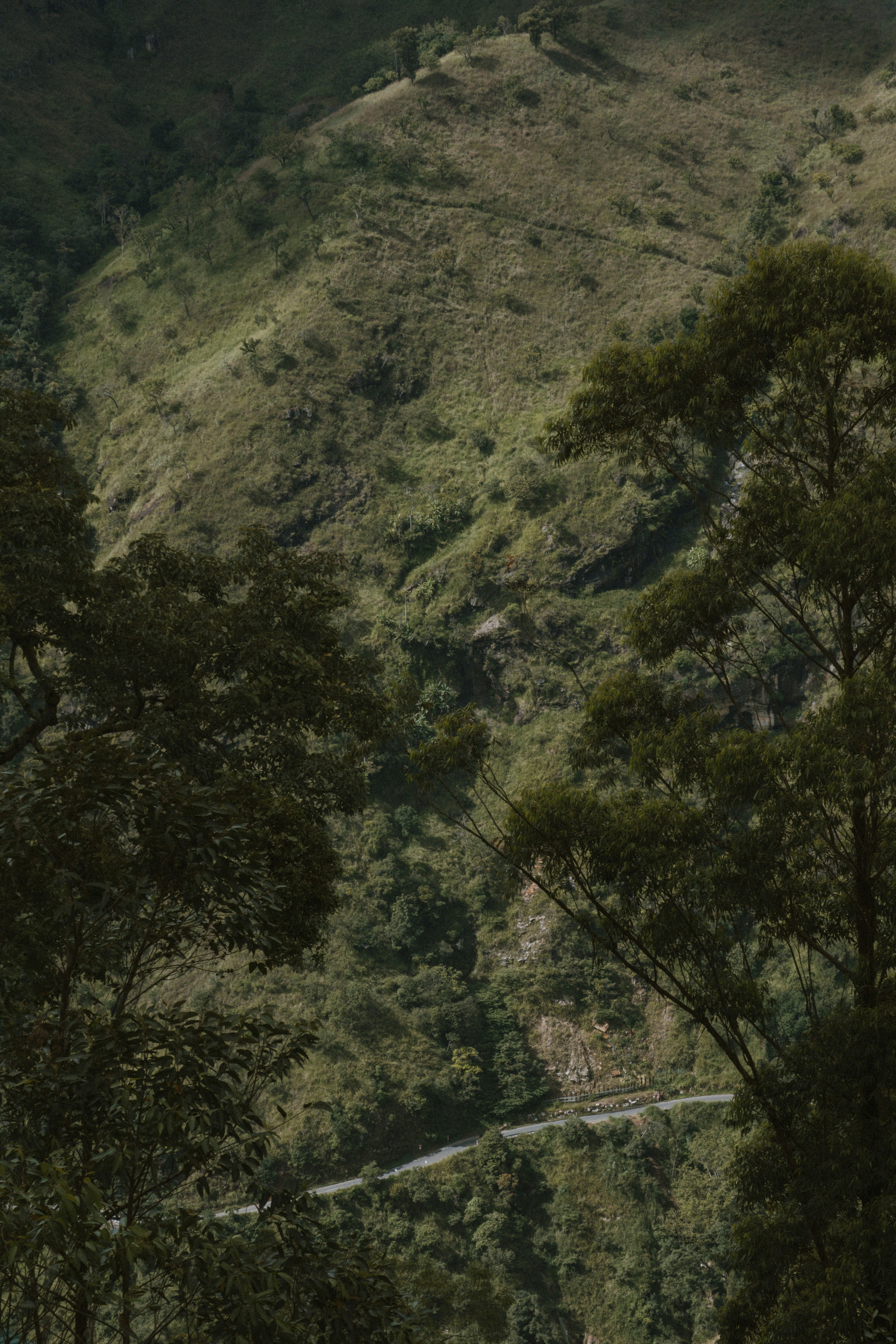 Photo by m0ther_0f_memes