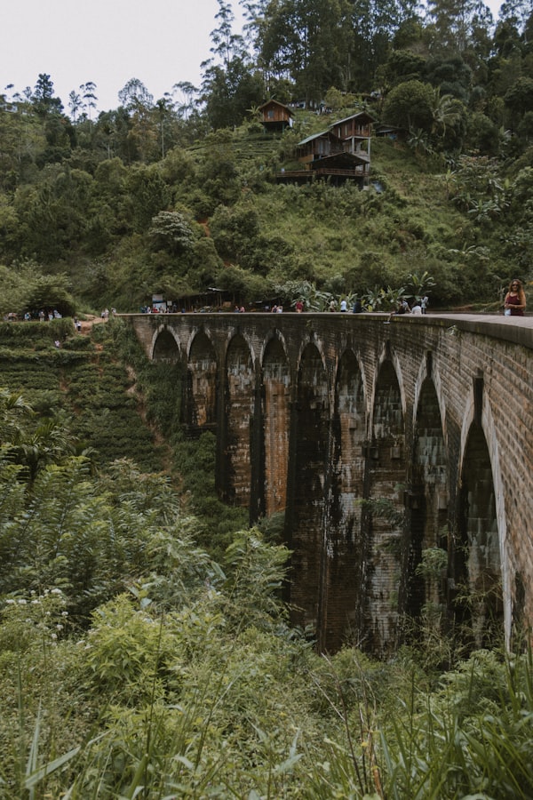 Private tea estate tour in the Ceylon highlands