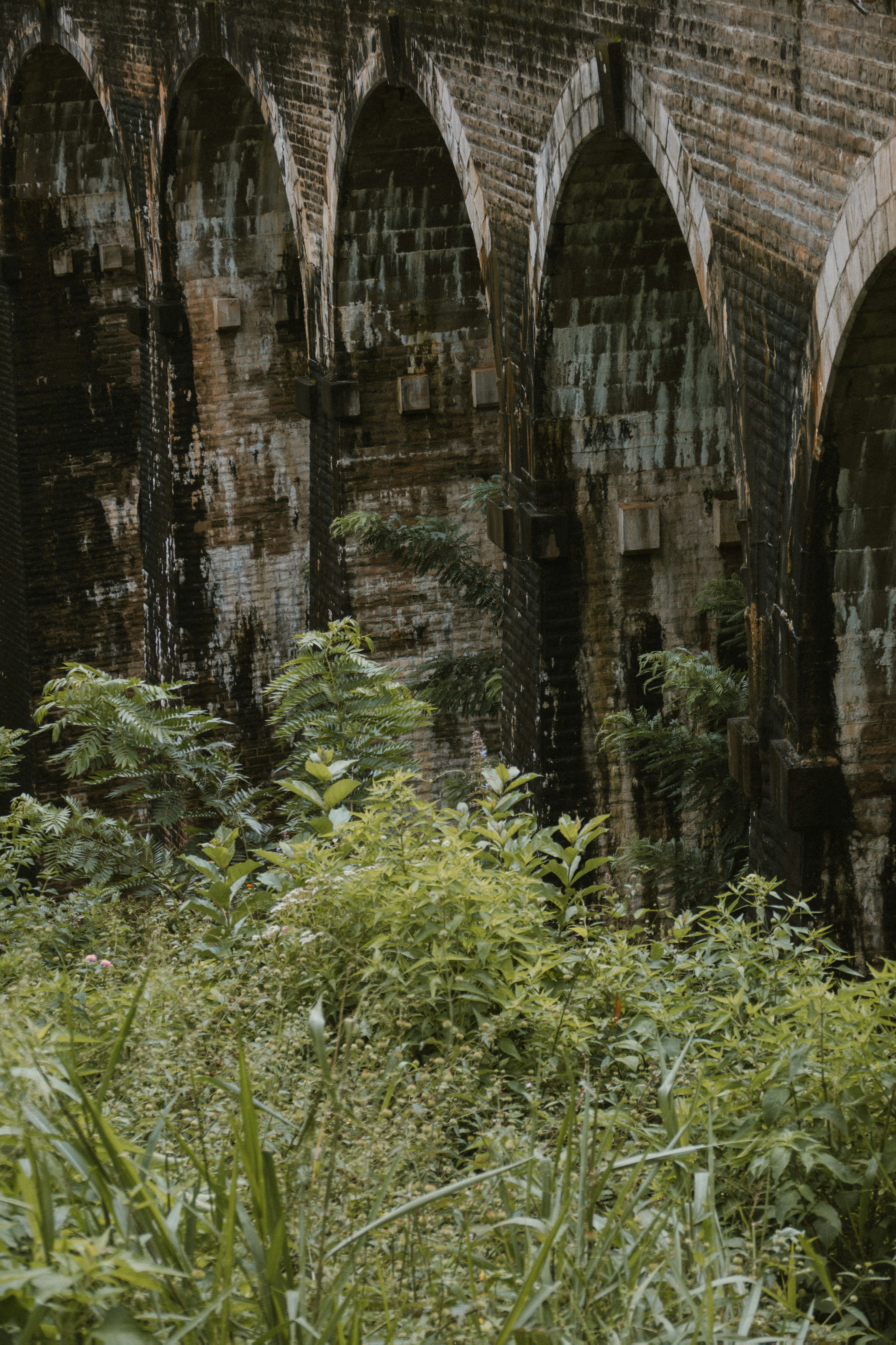 Photo by m0ther_0f_memes