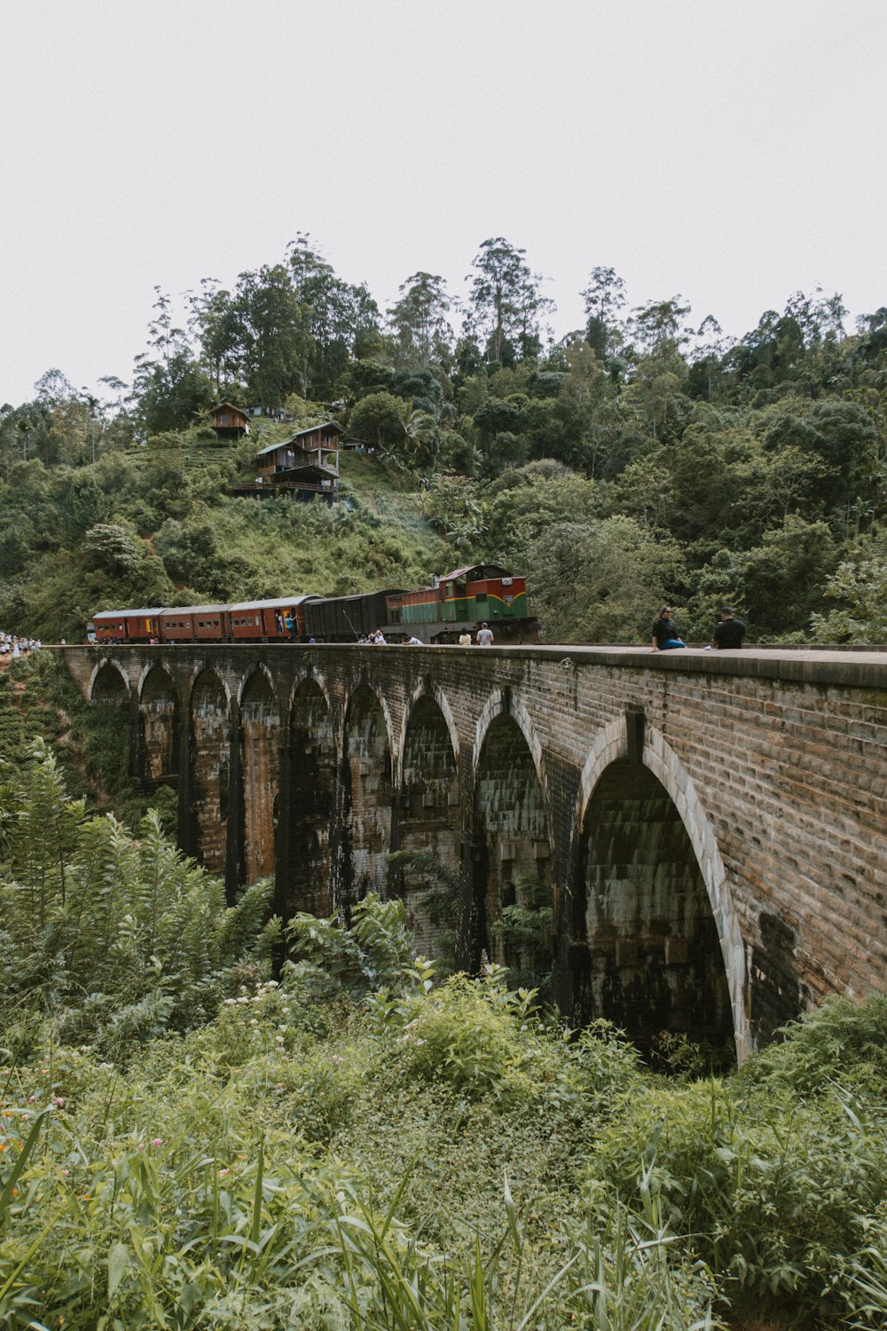 a train traveling over a bridge in the middle of a forest