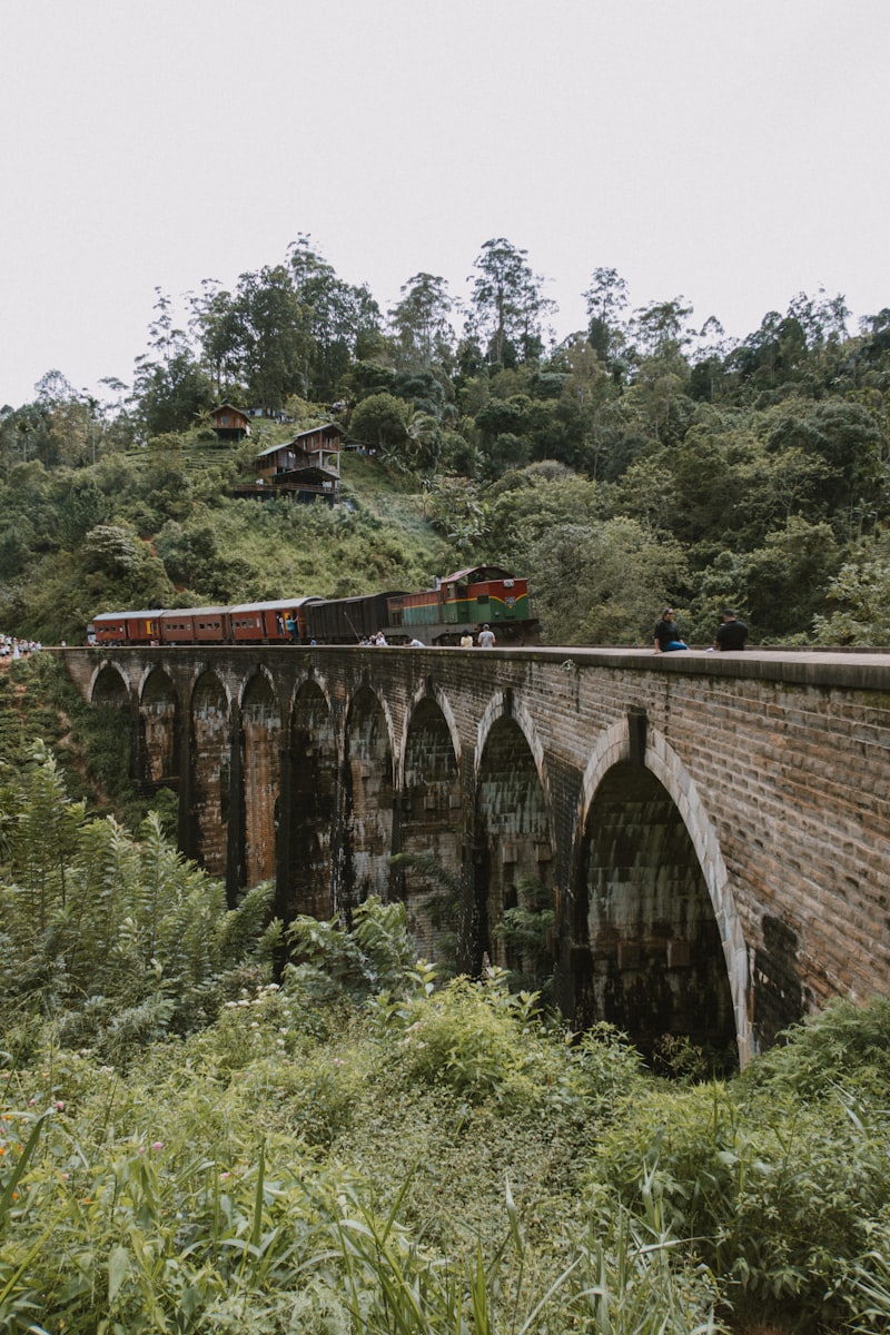 Train crossing the Nine Arch Bridge in Ella, Sri Lanka