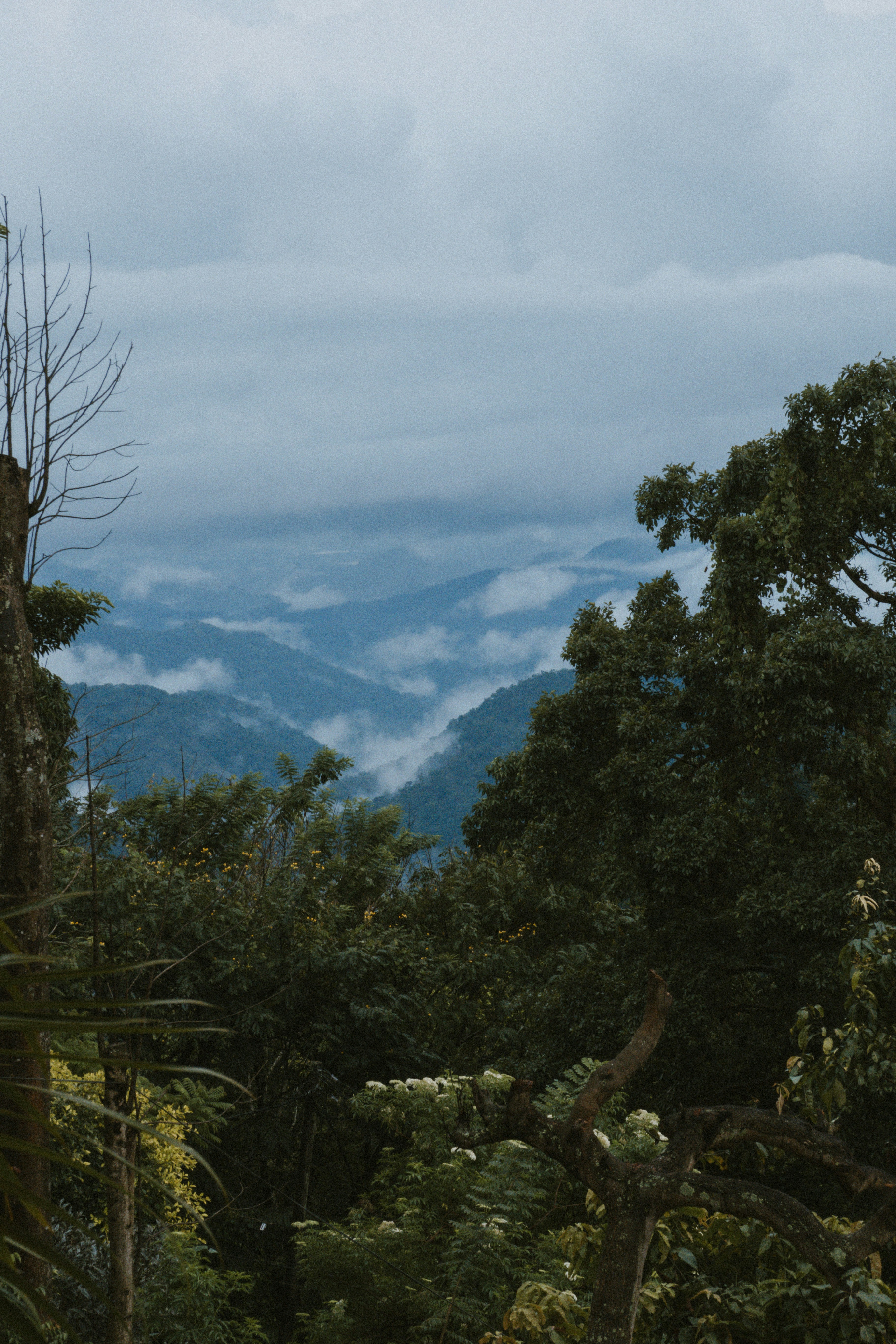 Photo by m0ther_0f_memes