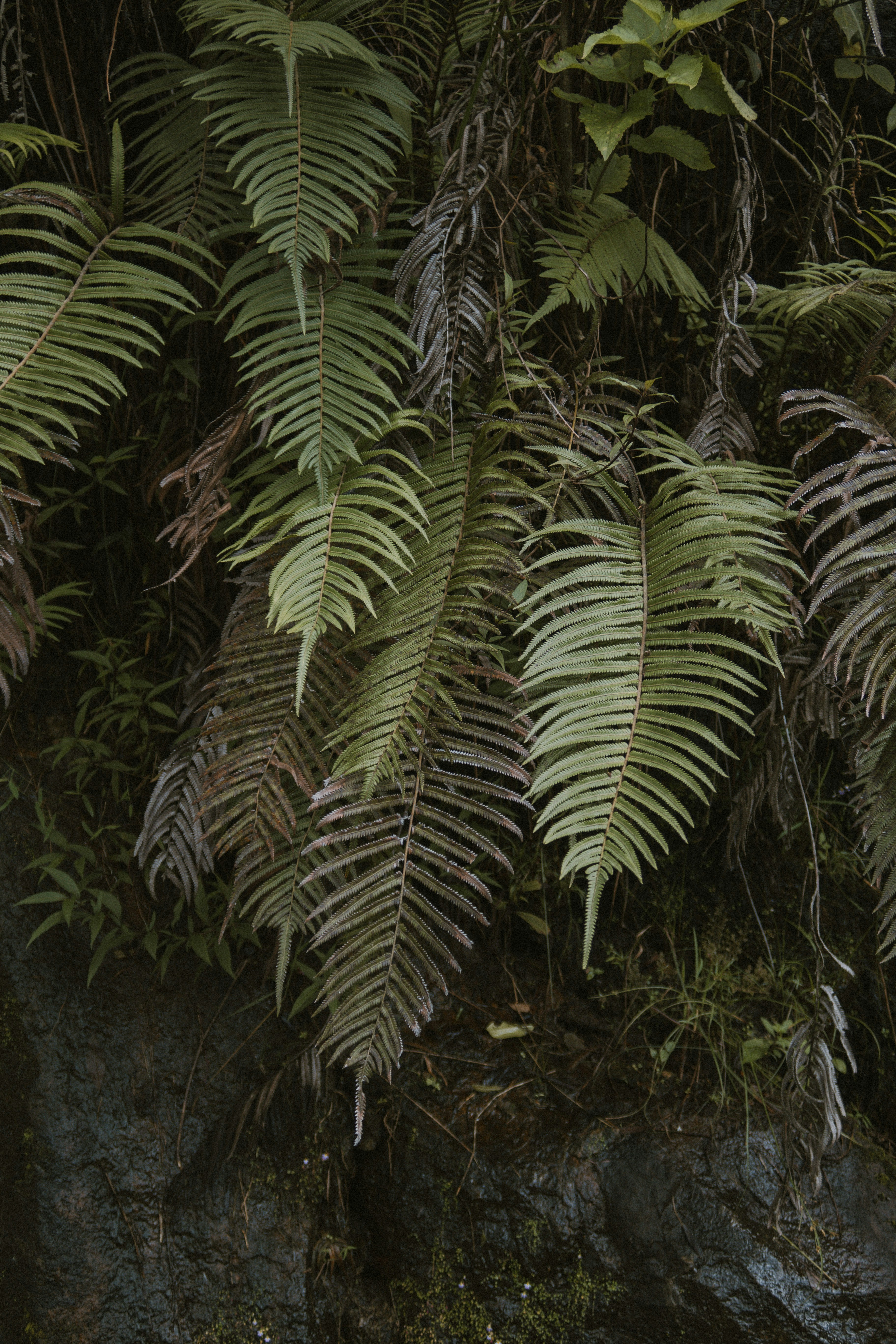 Photo by m0ther_0f_memes