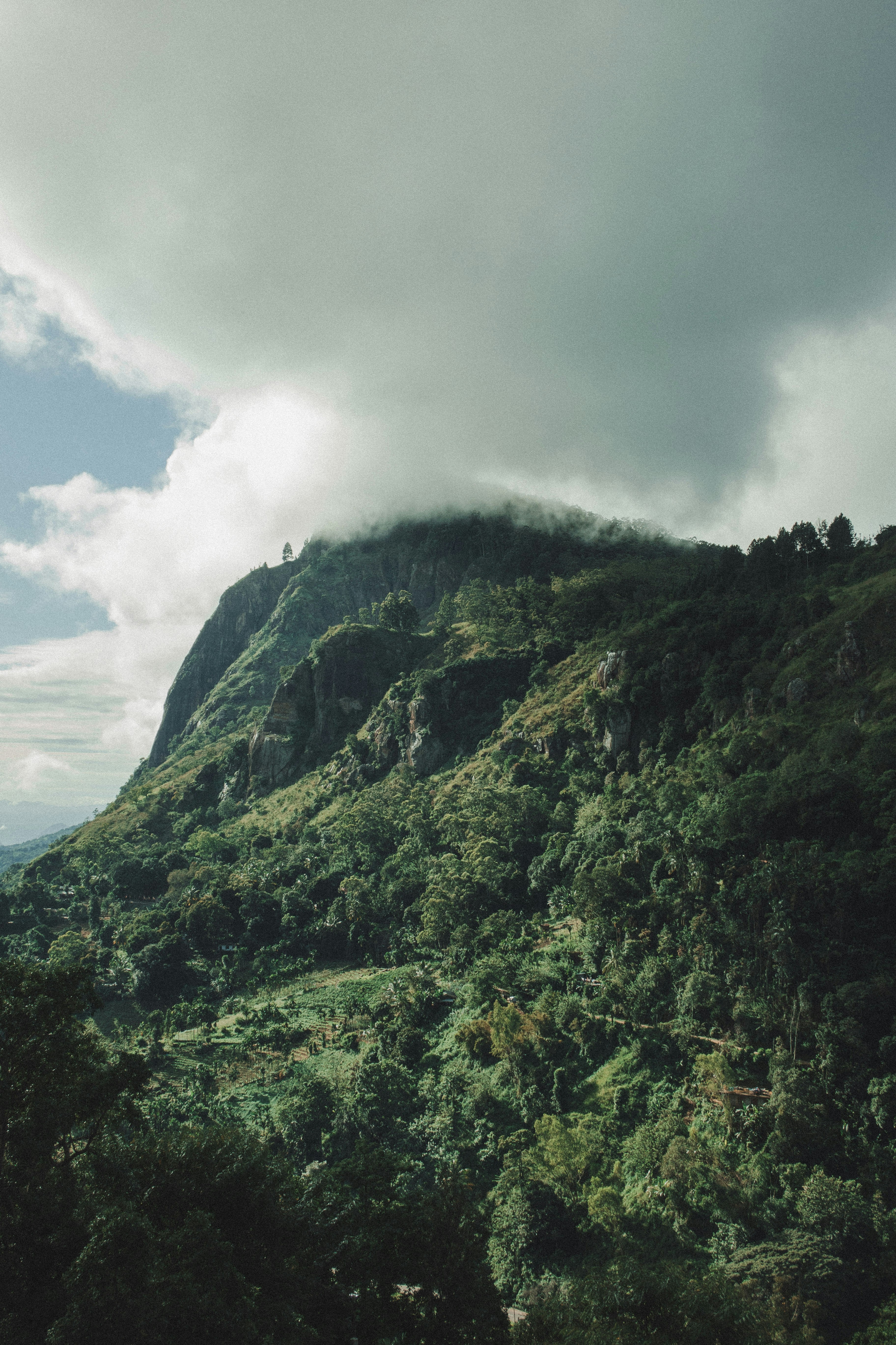 Photo by m0ther_0f_memes