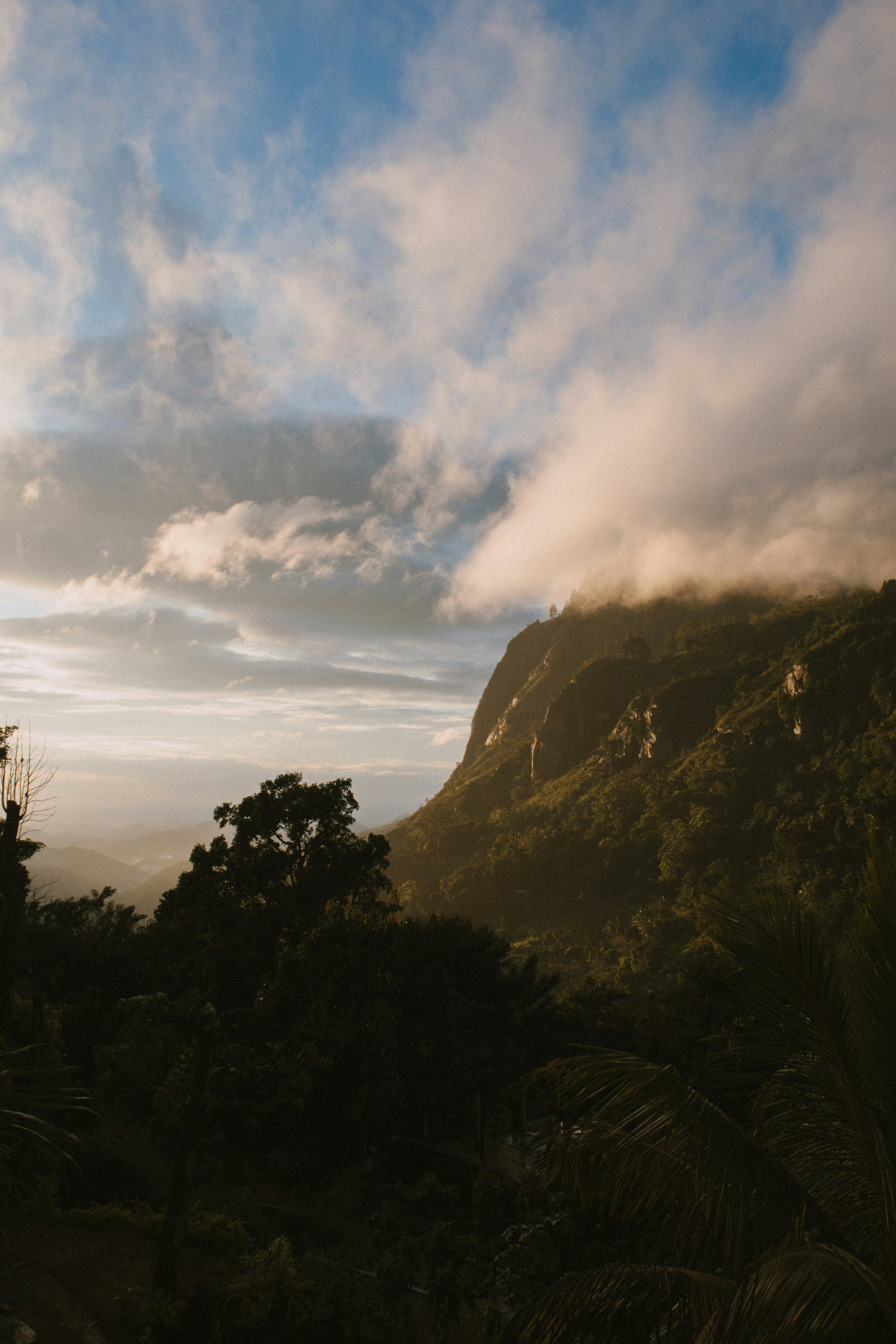 Photo by m0ther_0f_memes