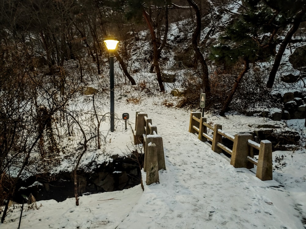 a snowy path with benches and a lamp post