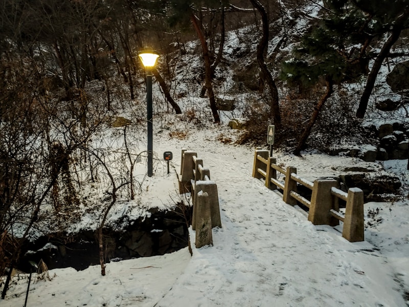 게임 밤 모임