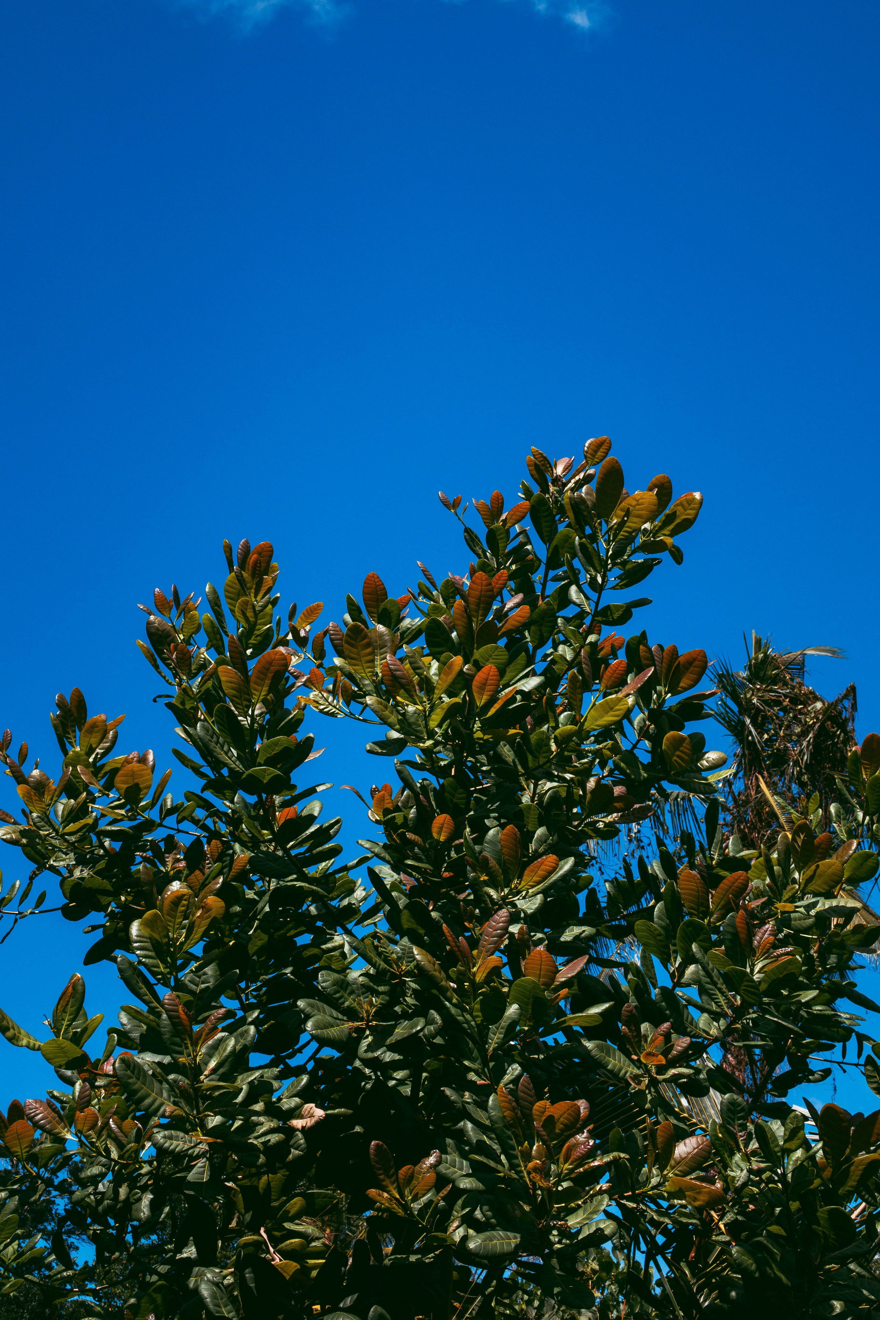 Photo by m0ther_0f_memes