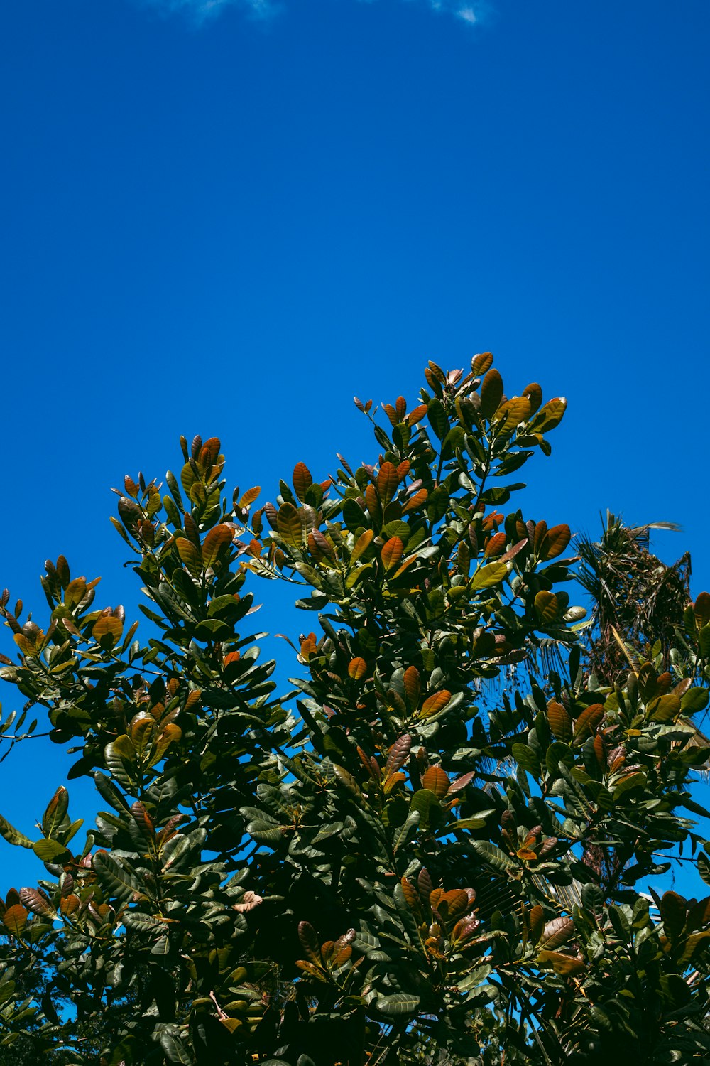 a bird is perched on a tree branch