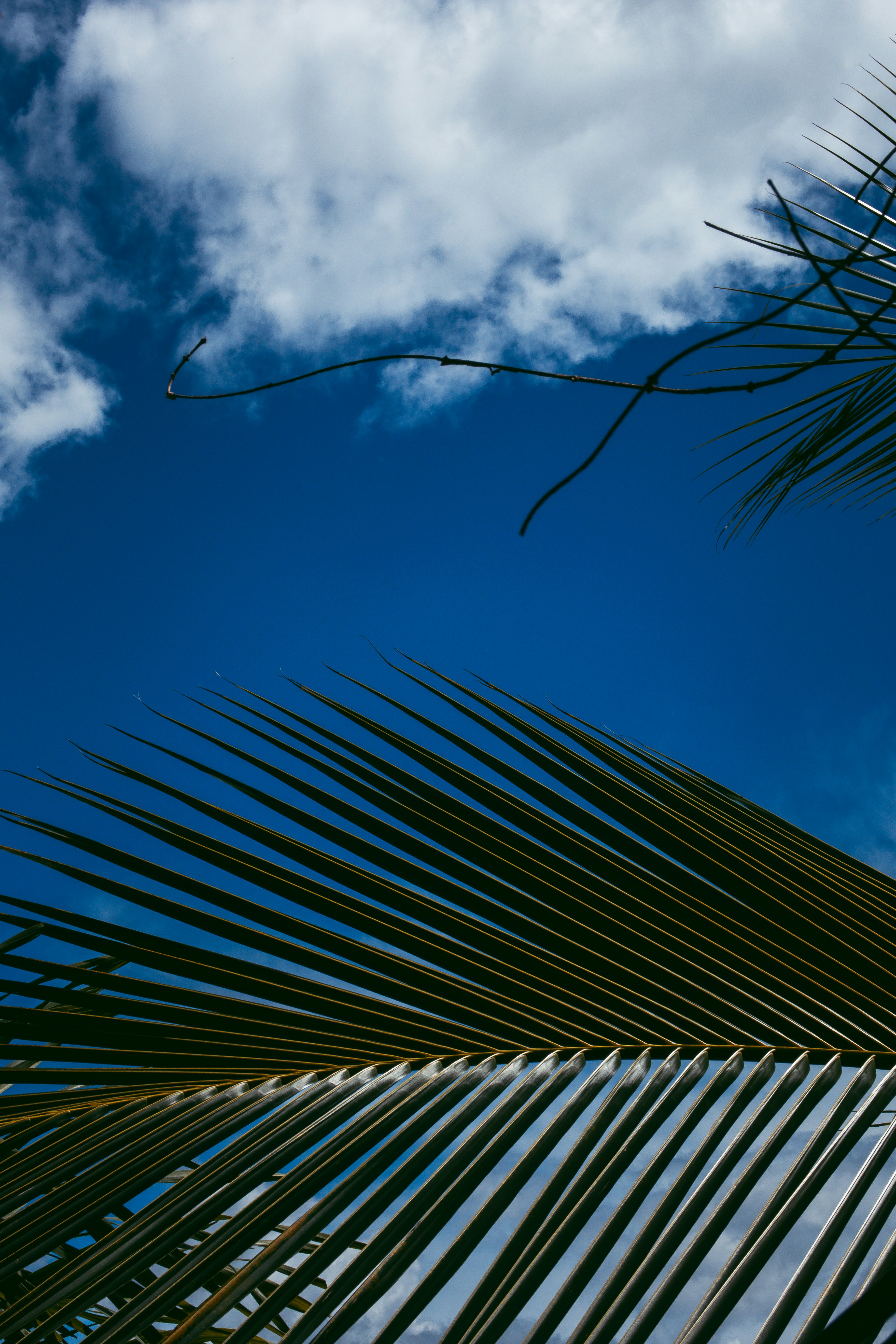 Photo by m0ther_0f_memes