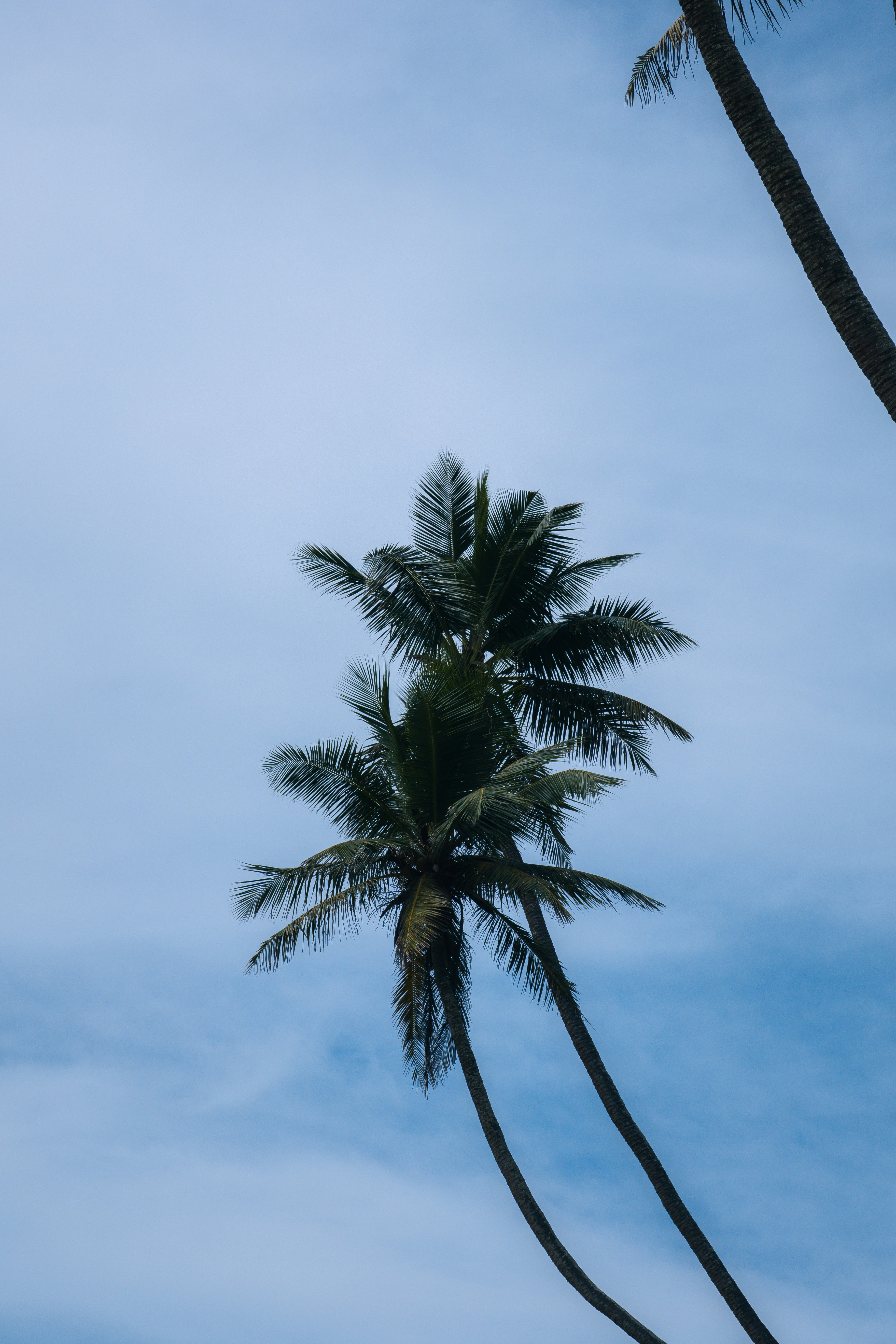 Photo by m0ther_0f_memes