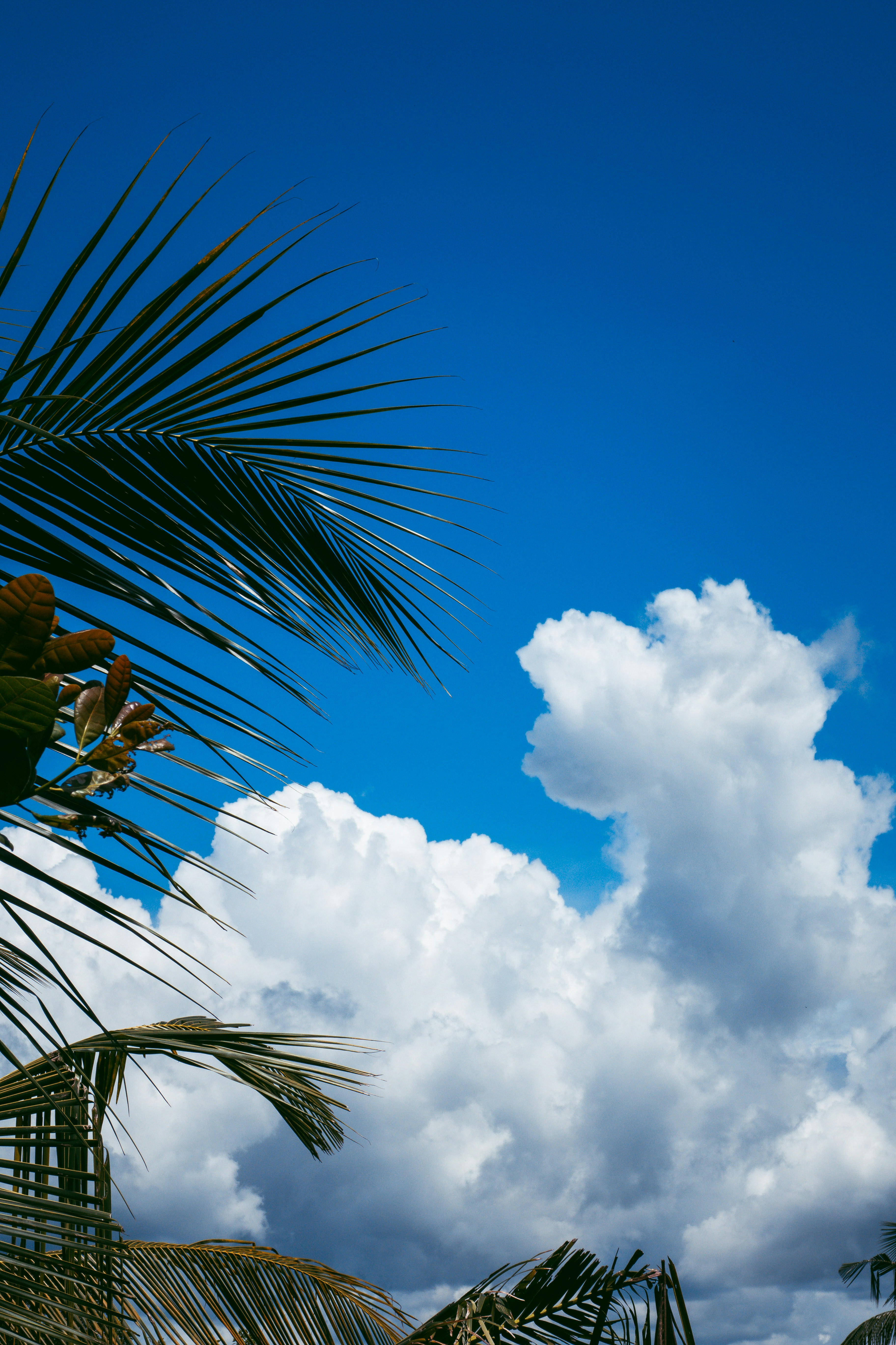 Photo by m0ther_0f_memes