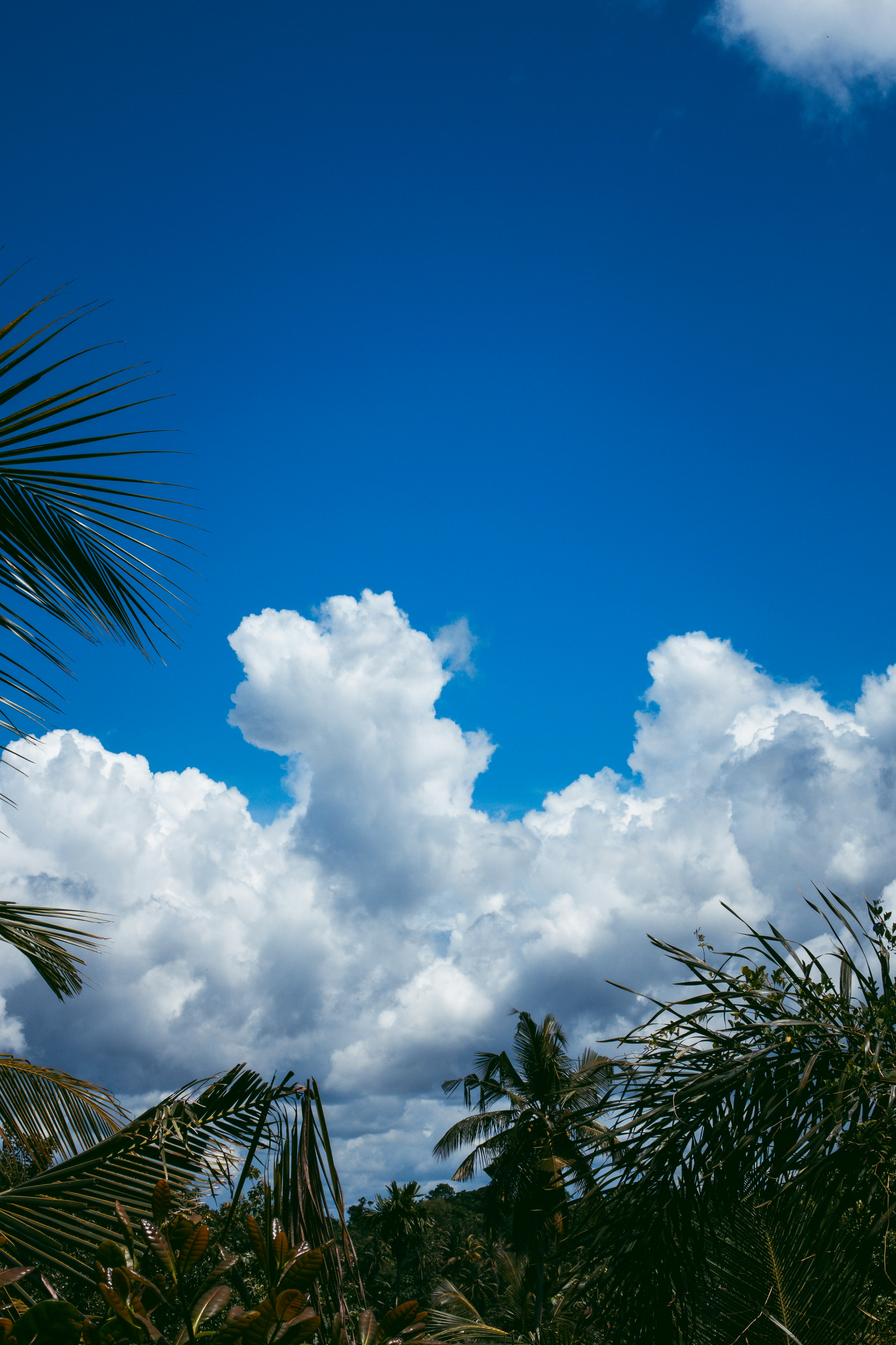 Photo by m0ther_0f_memes