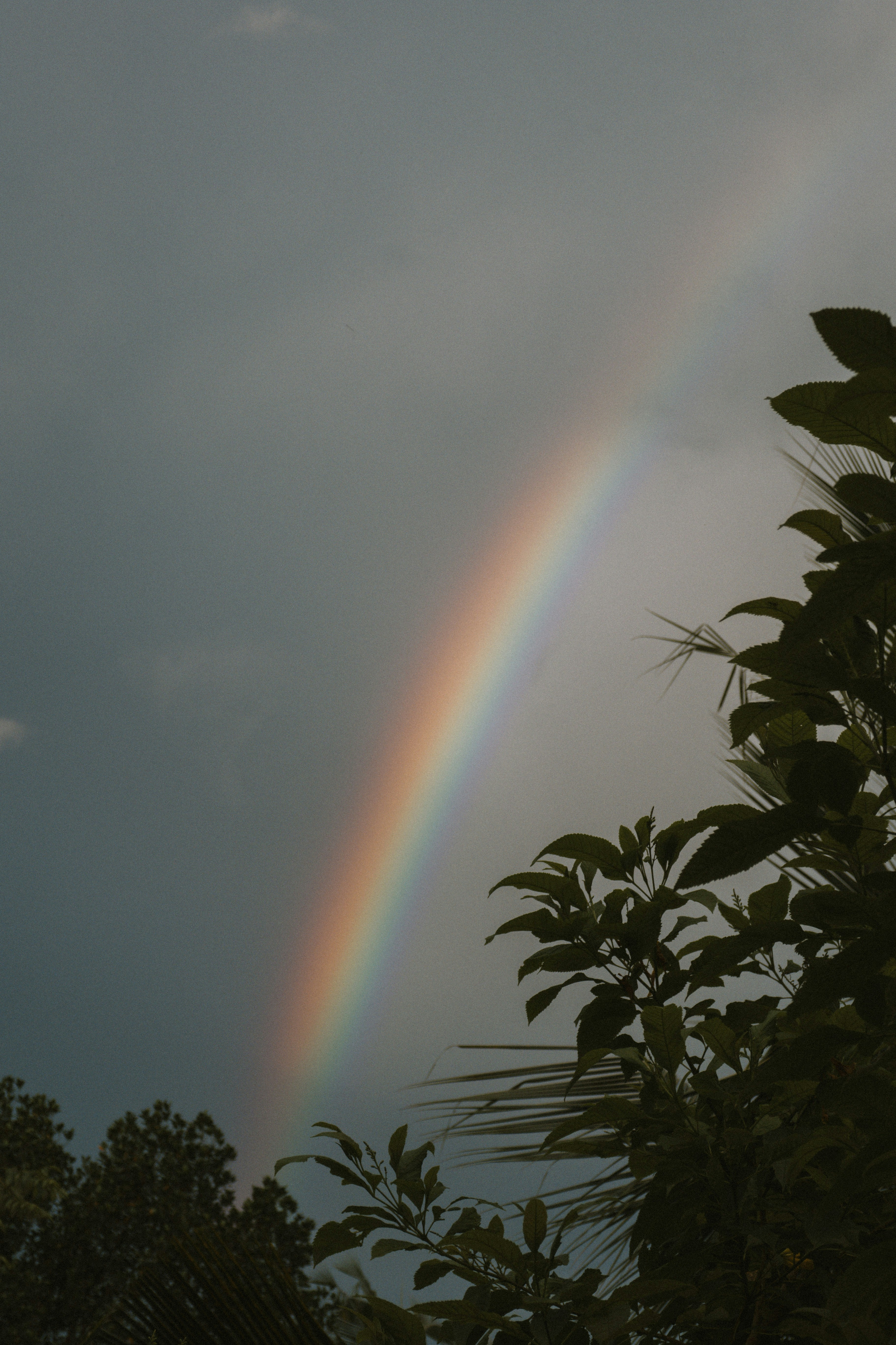 Photo by m0ther_0f_memes