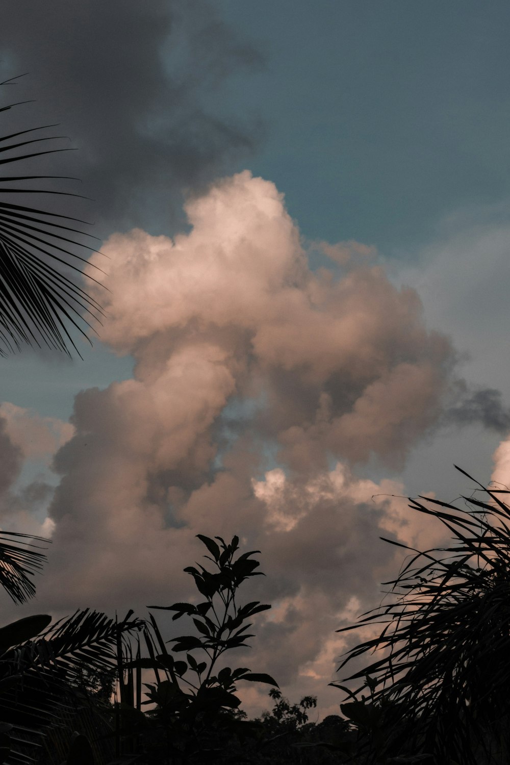 a view of a cloudy sky with palm trees in the foreground