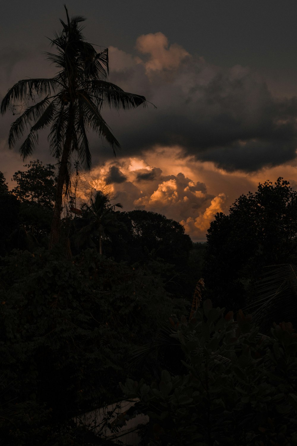 a palm tree is silhouetted against a cloudy sky