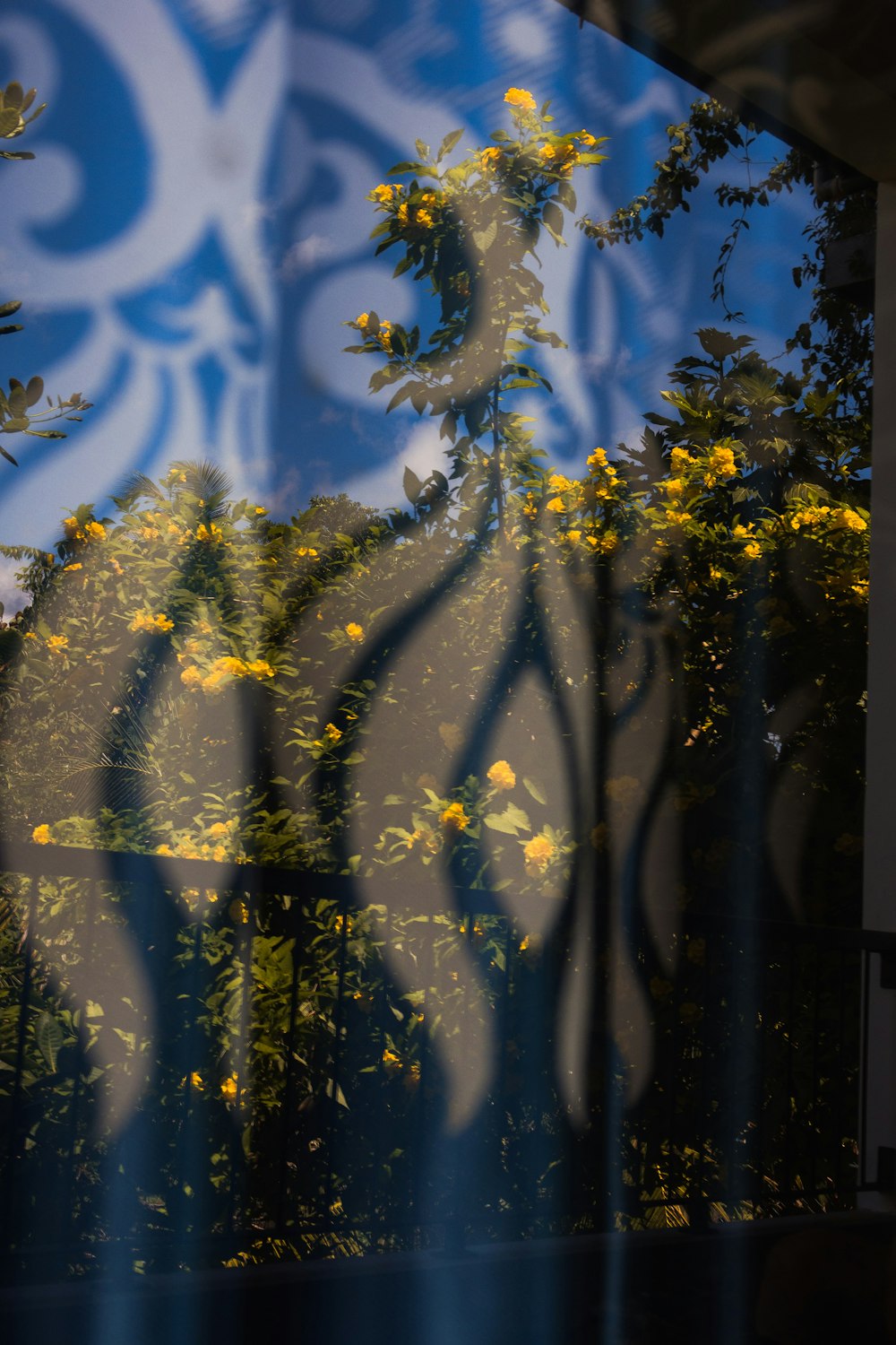 the reflection of trees in the window of a building