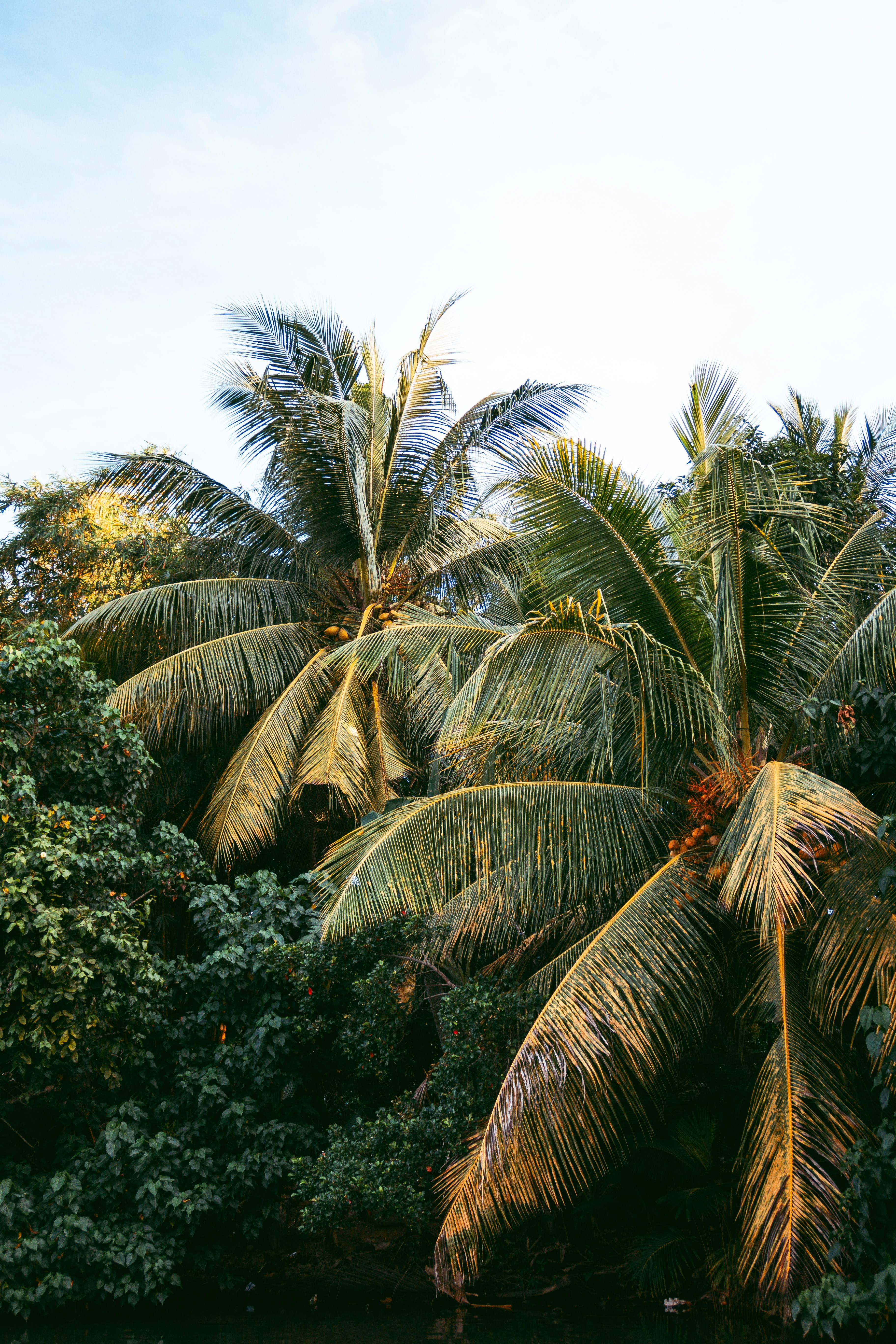 Photo by m0ther_0f_memes