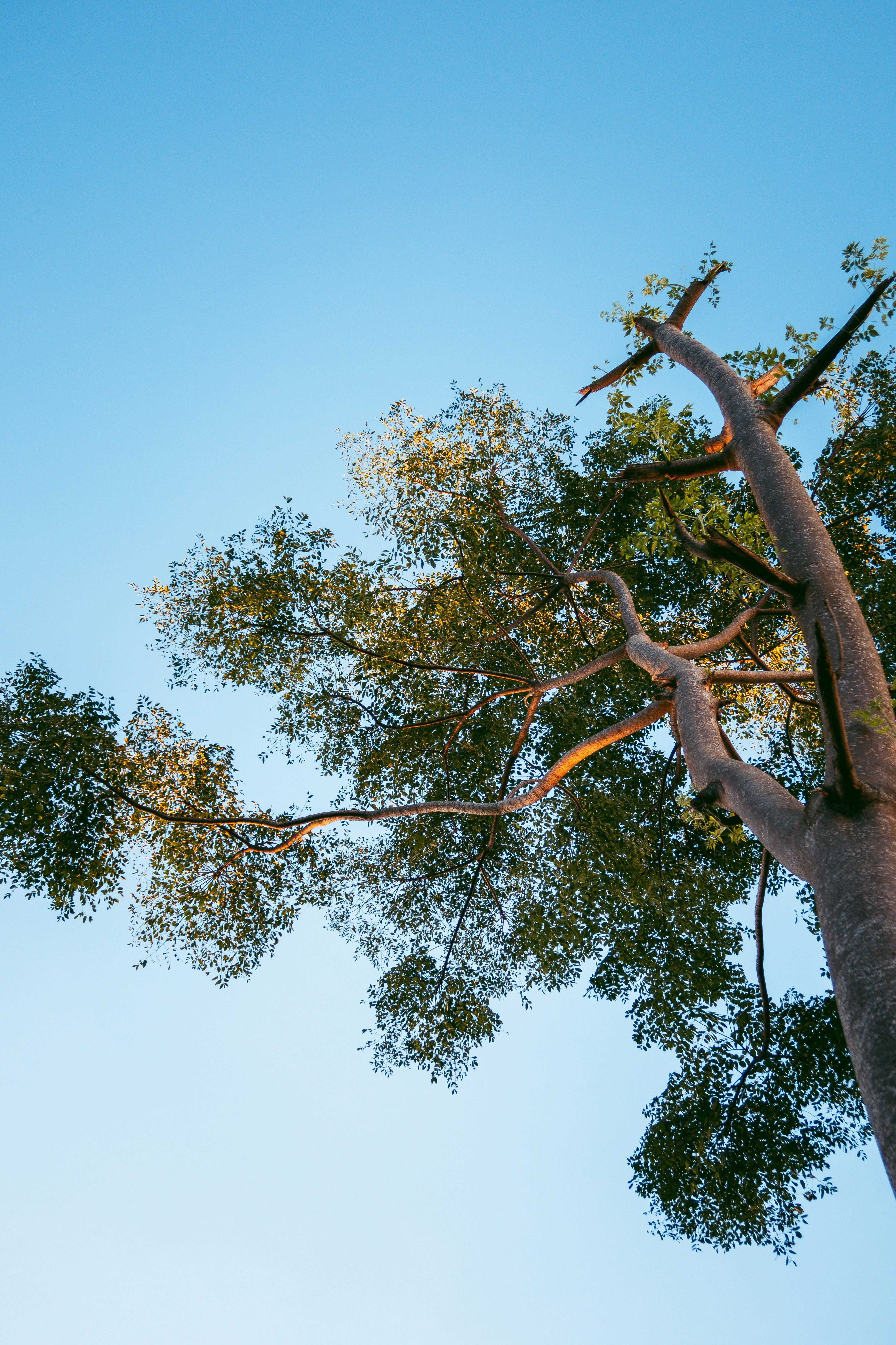 Photo by m0ther_0f_memes