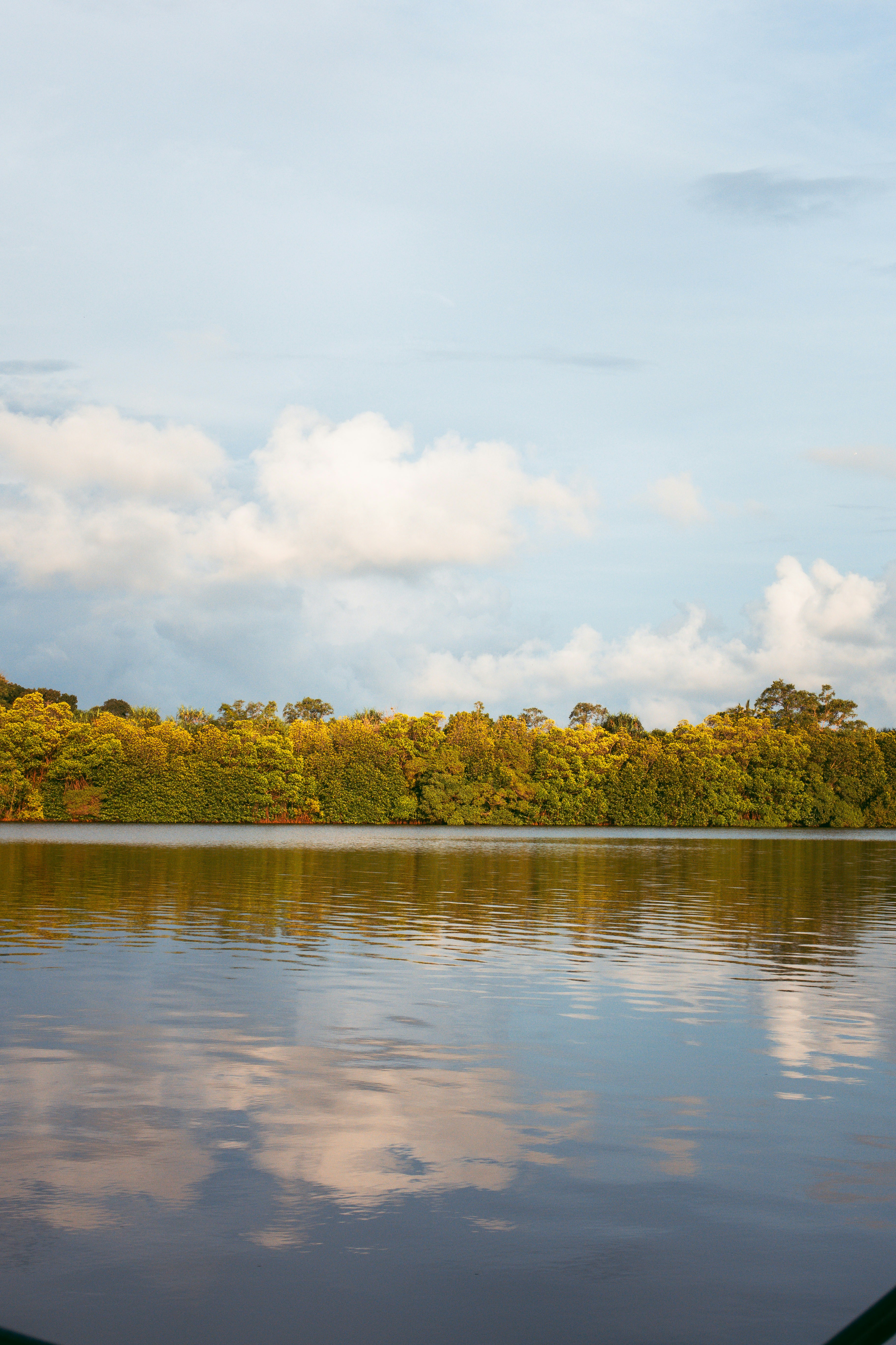 Photo by m0ther_0f_memes