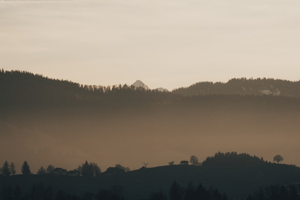 a view of a mountain range with trees in the foreground