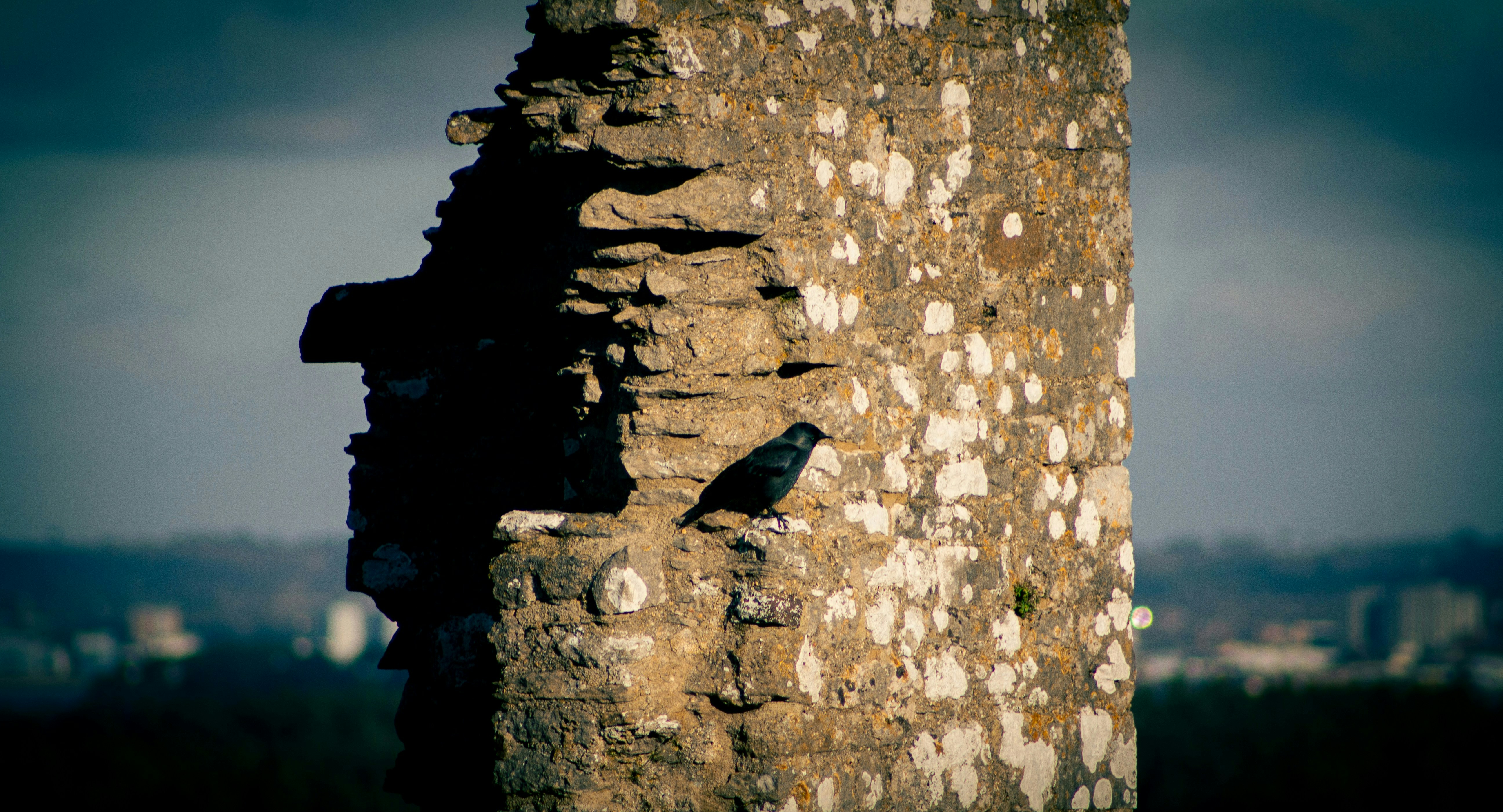 Image by Oliver Sharp via Unsplash