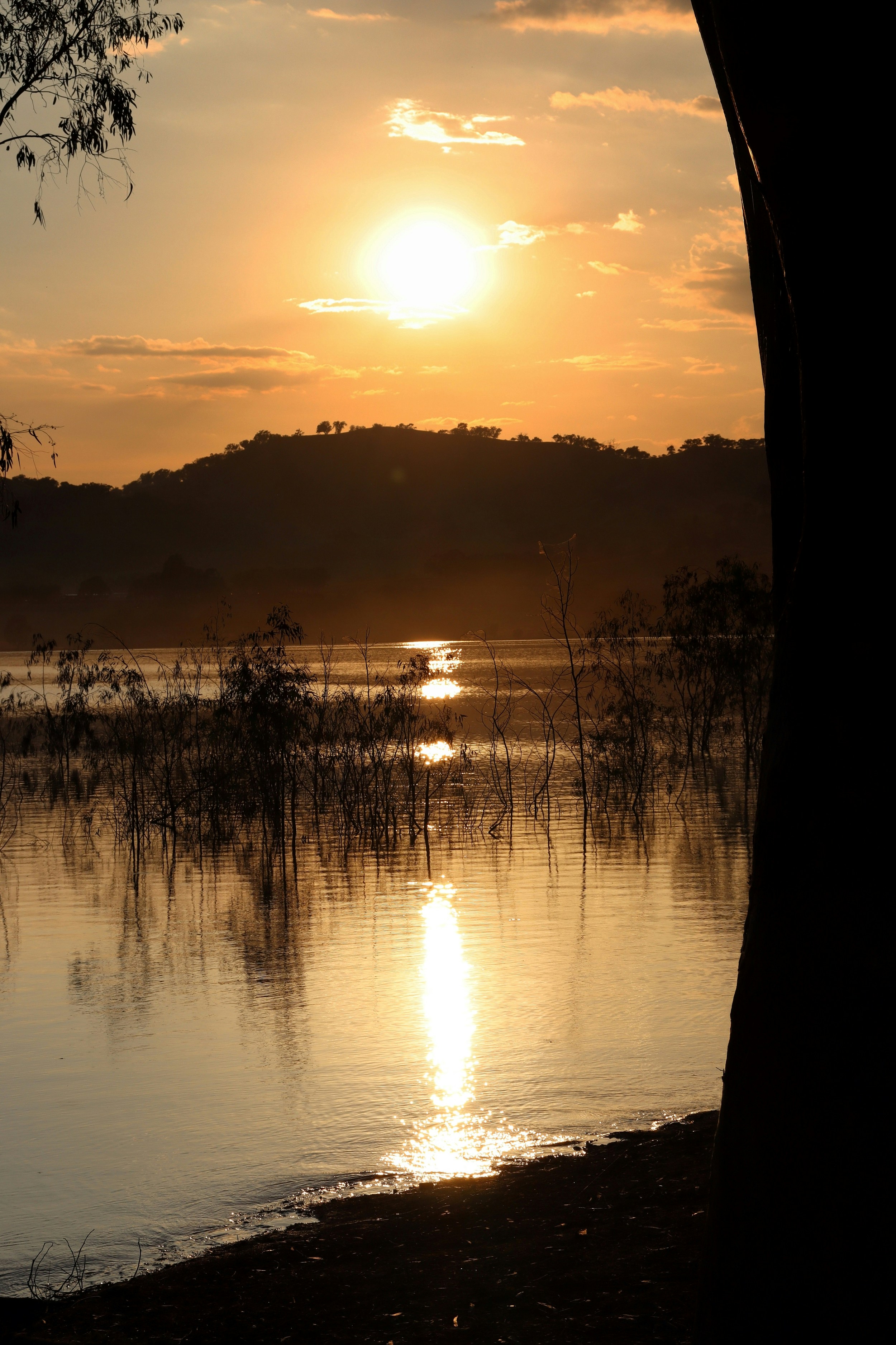 Photo by craigmanners_com