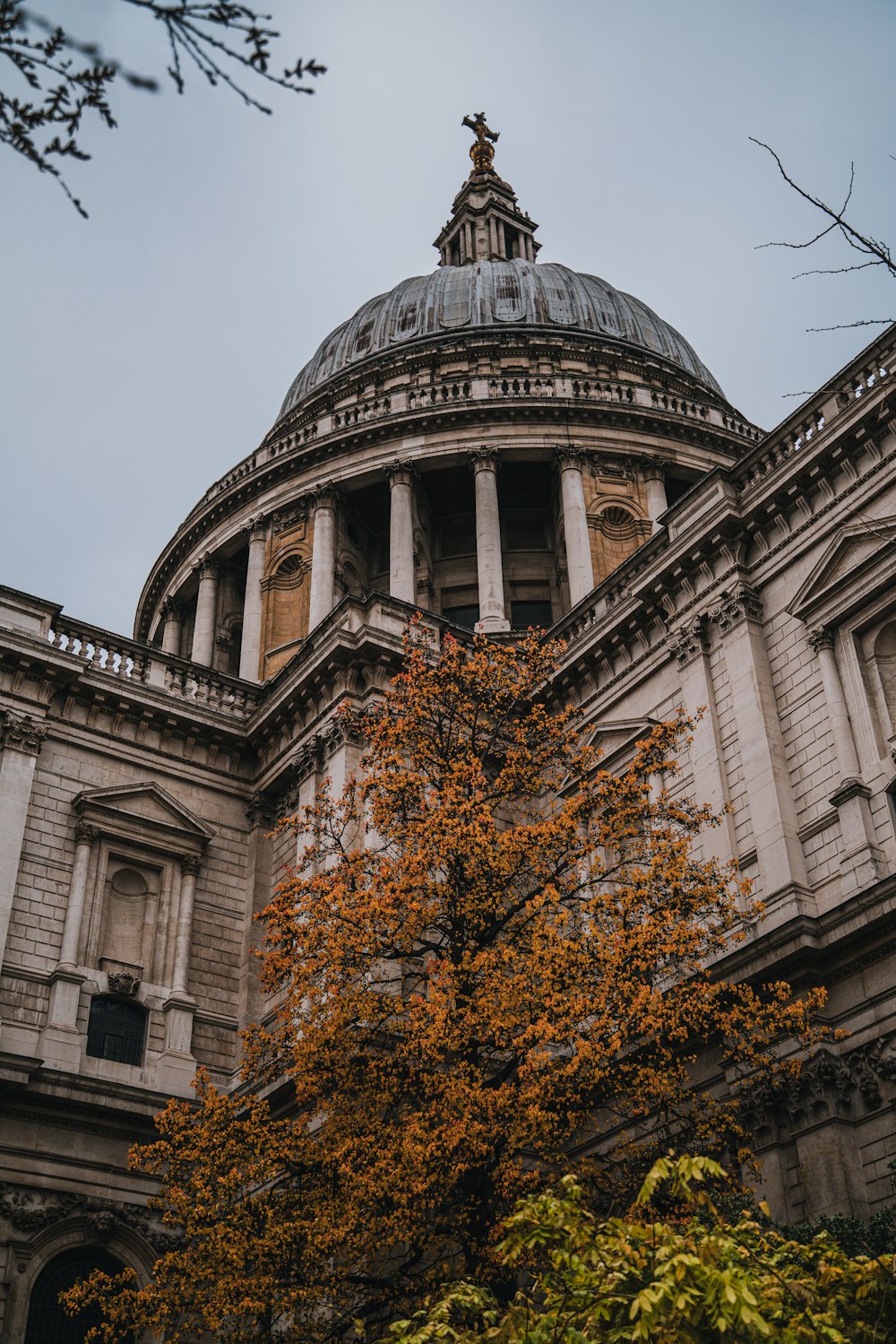 a building with a dome and a tree in front of it