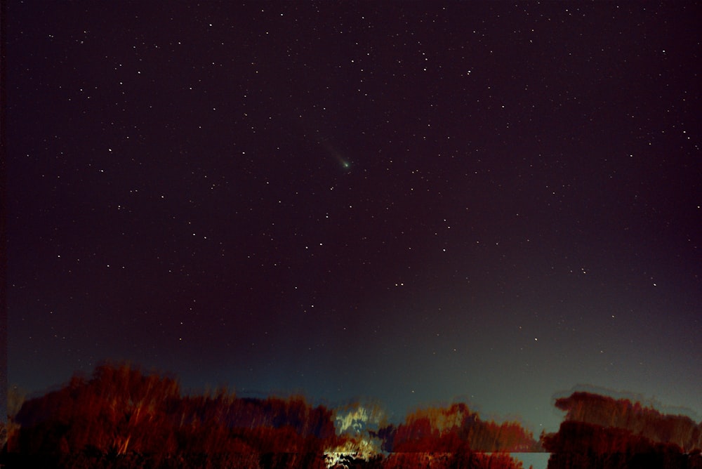 Un cielo nocturno con estrellas y árboles en primer plano