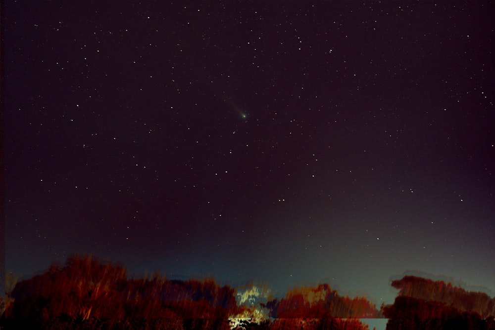 um céu noturno com estrelas e árvores em primeiro plano