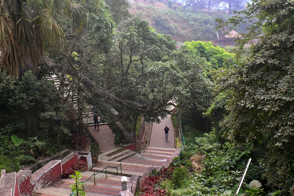 a man walking down a set of stairs in the middle of a forest