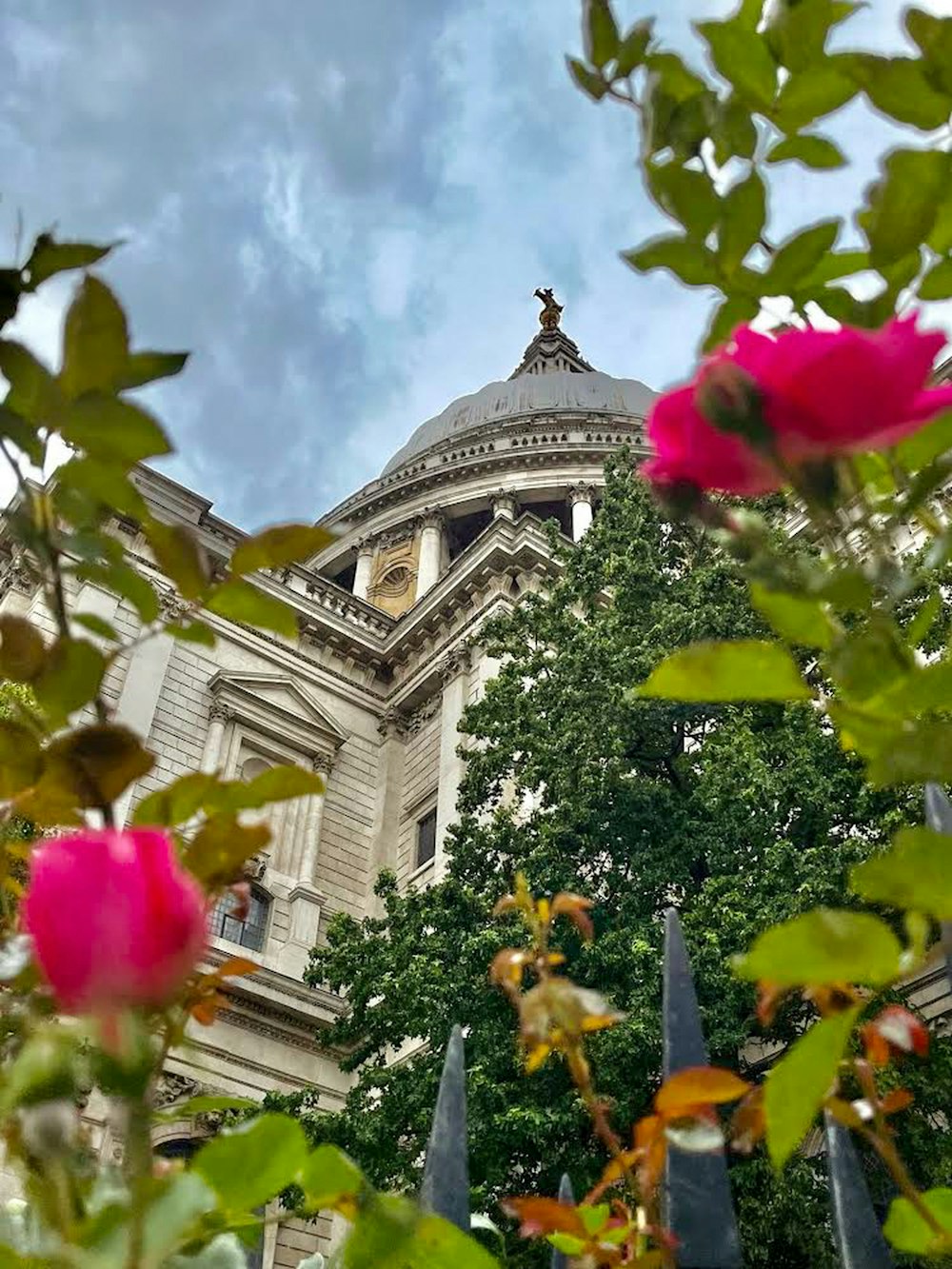 a building with a dome and a rose bush in front of it