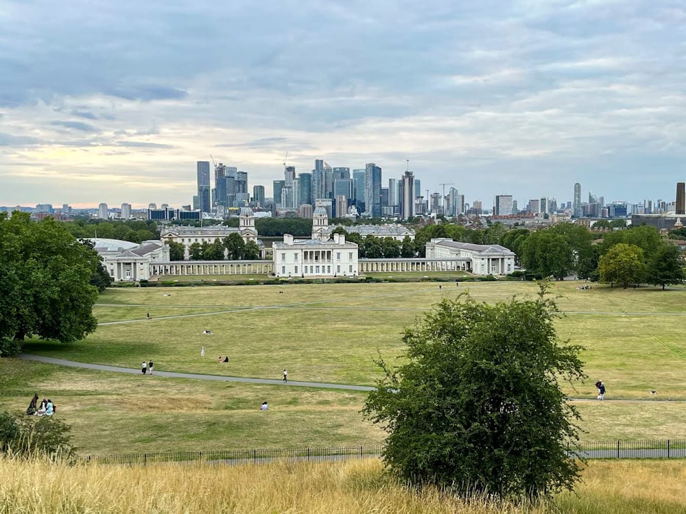 a view of a city skyline from a grassy field