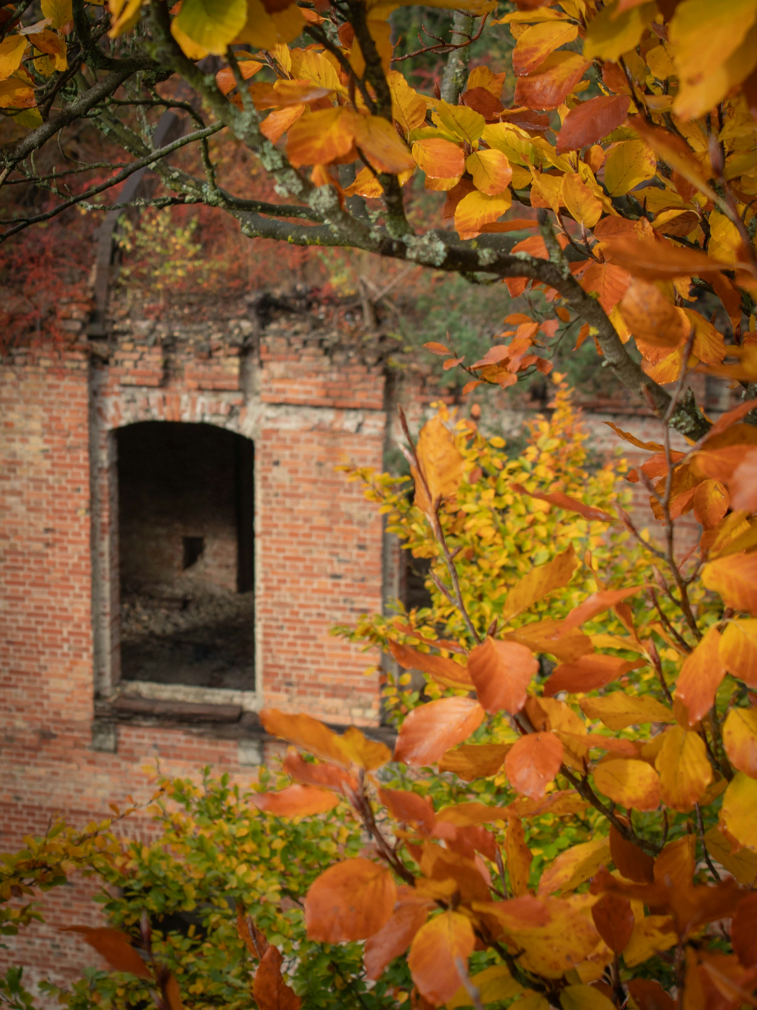 Photo by kristinapyrlik