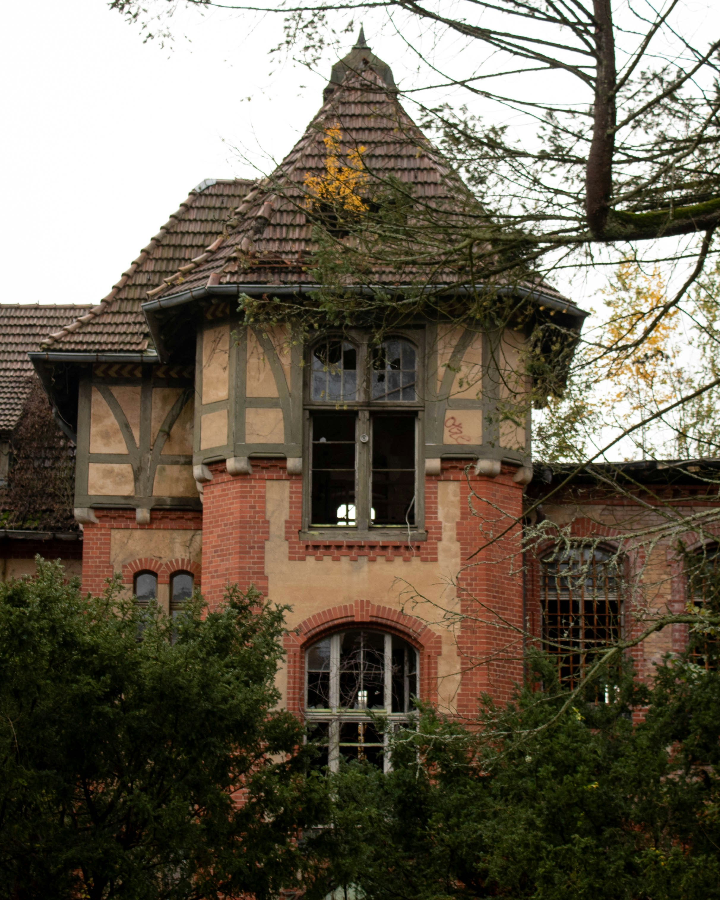 Photo by kristinapyrlik