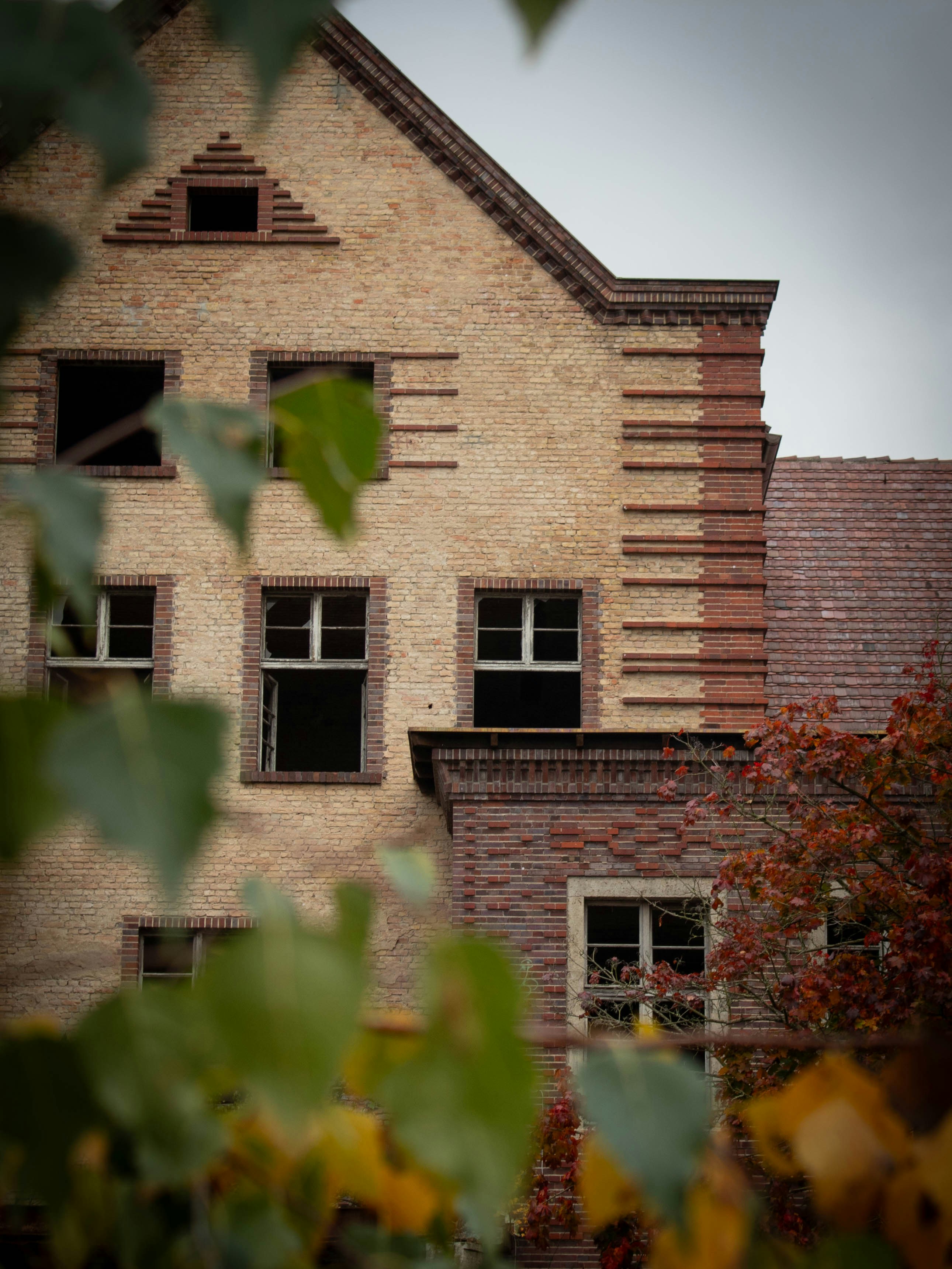 Photo by kristinapyrlik