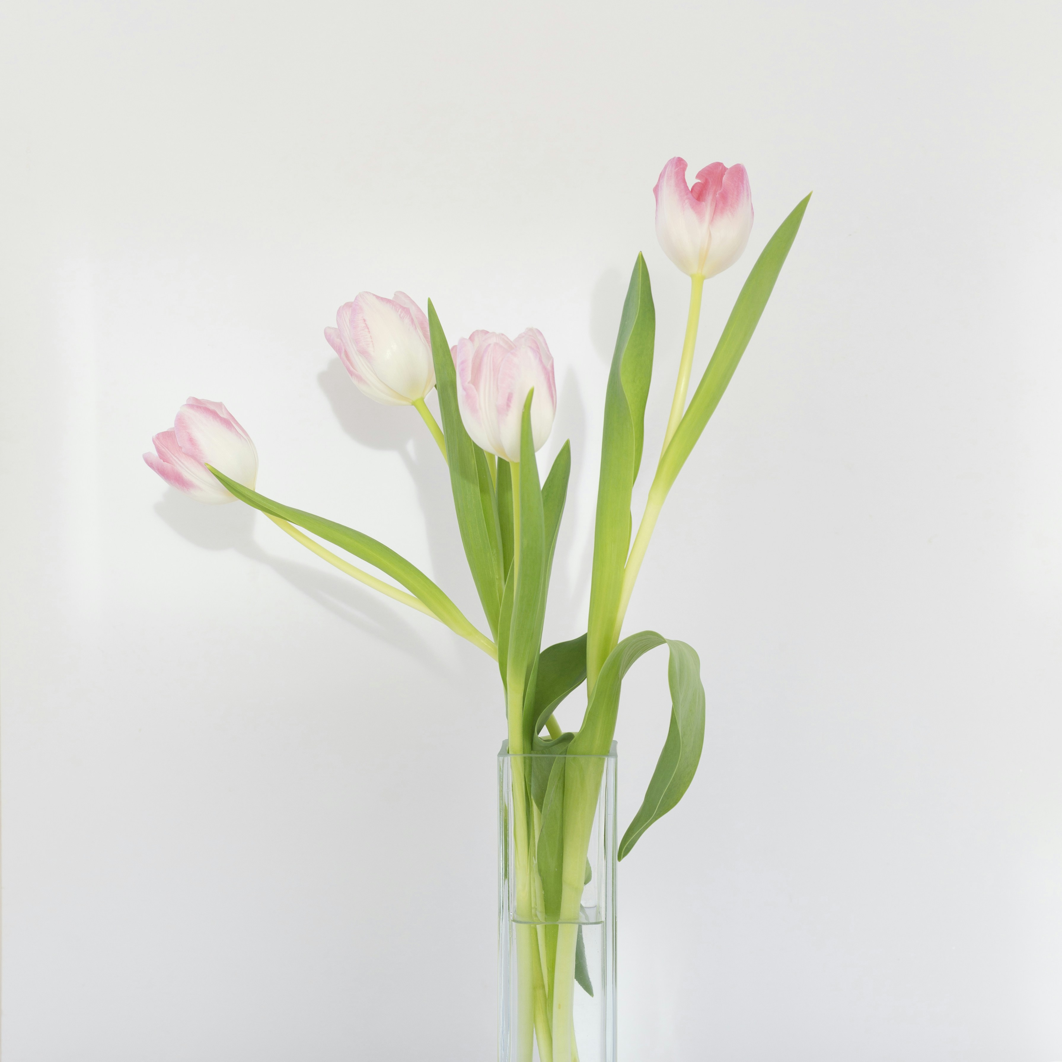 Photo by nataliekinnear