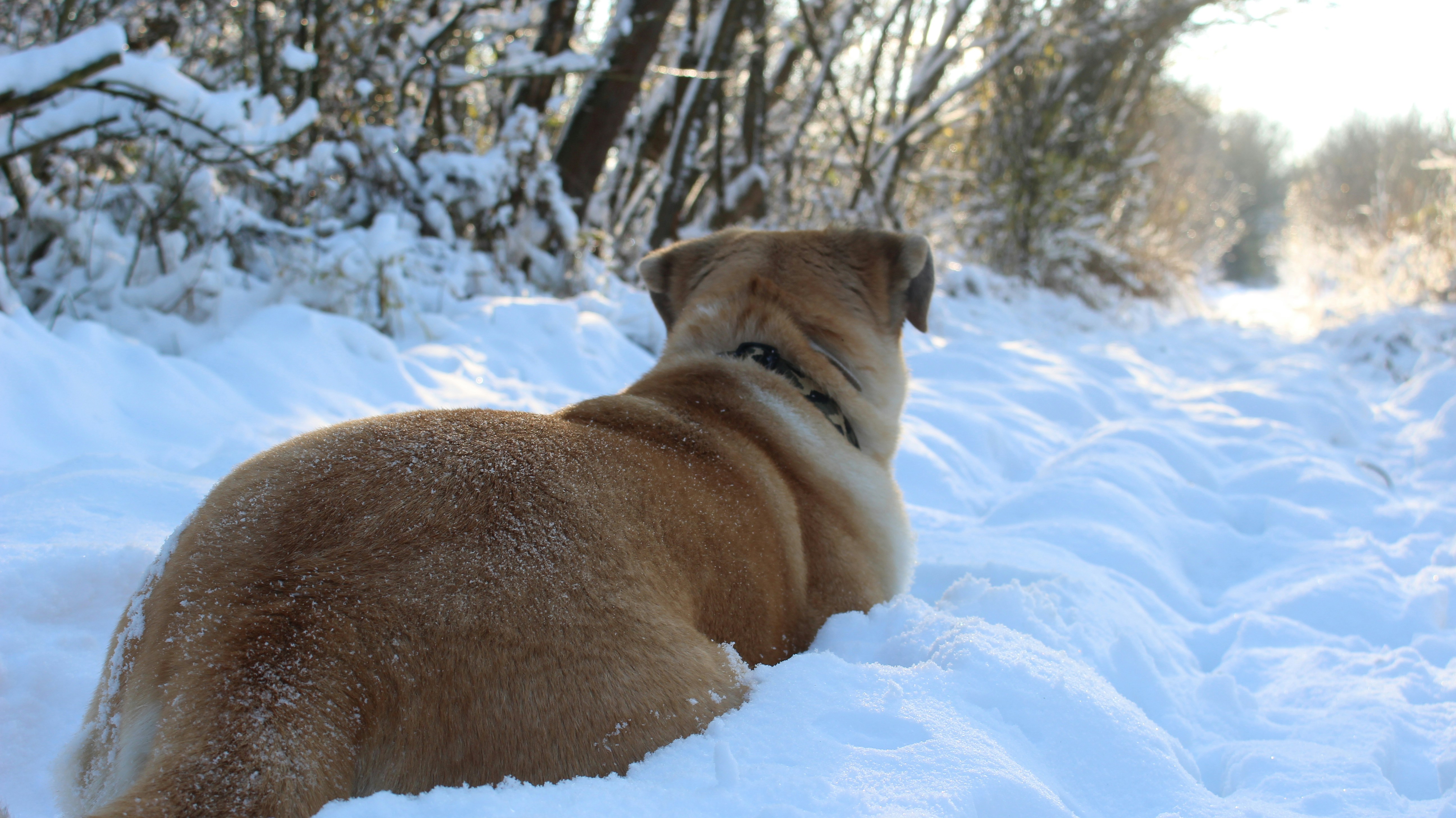 Photo by marjorylucabaxter