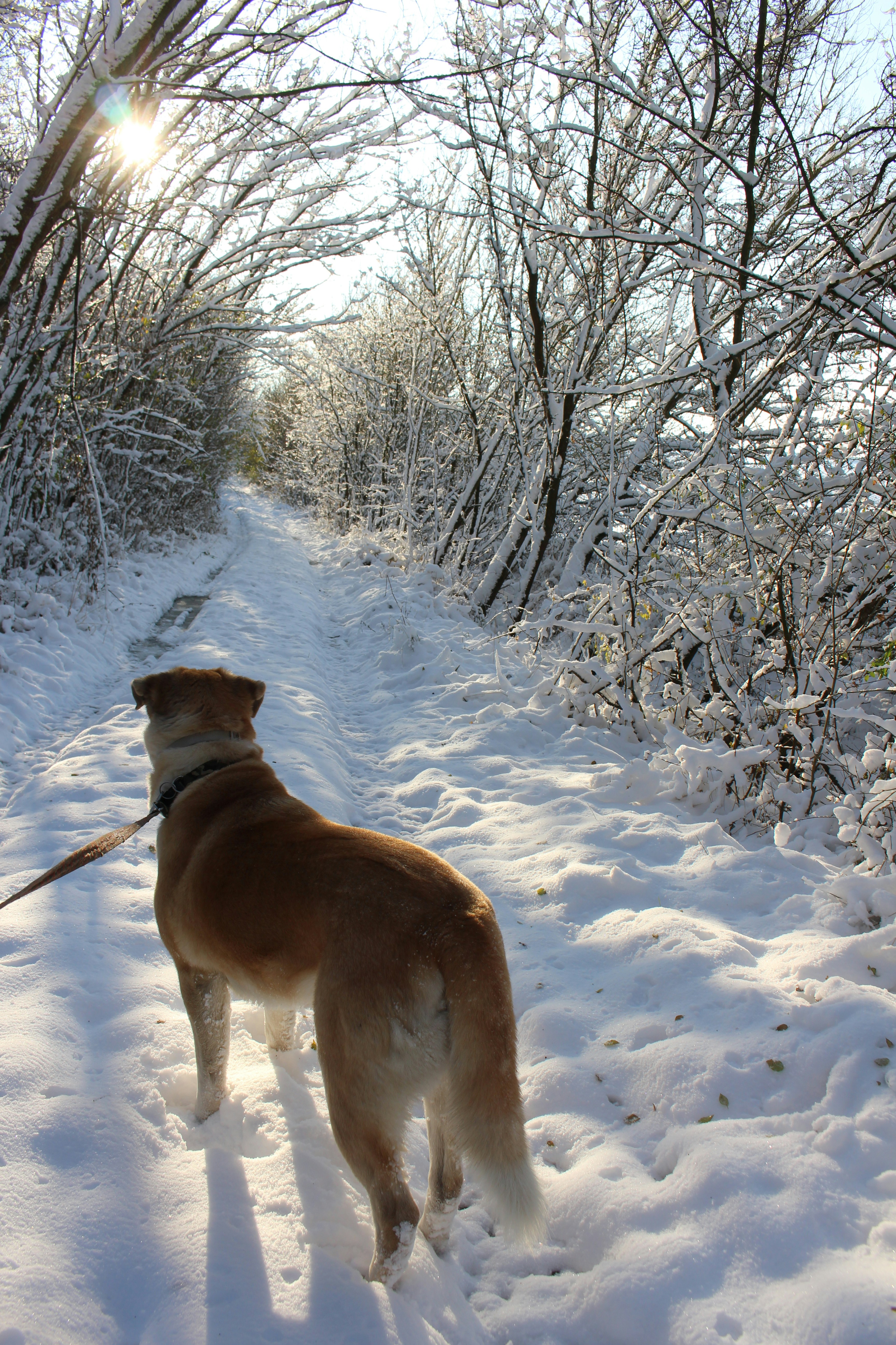 Photo by marjorylucabaxter