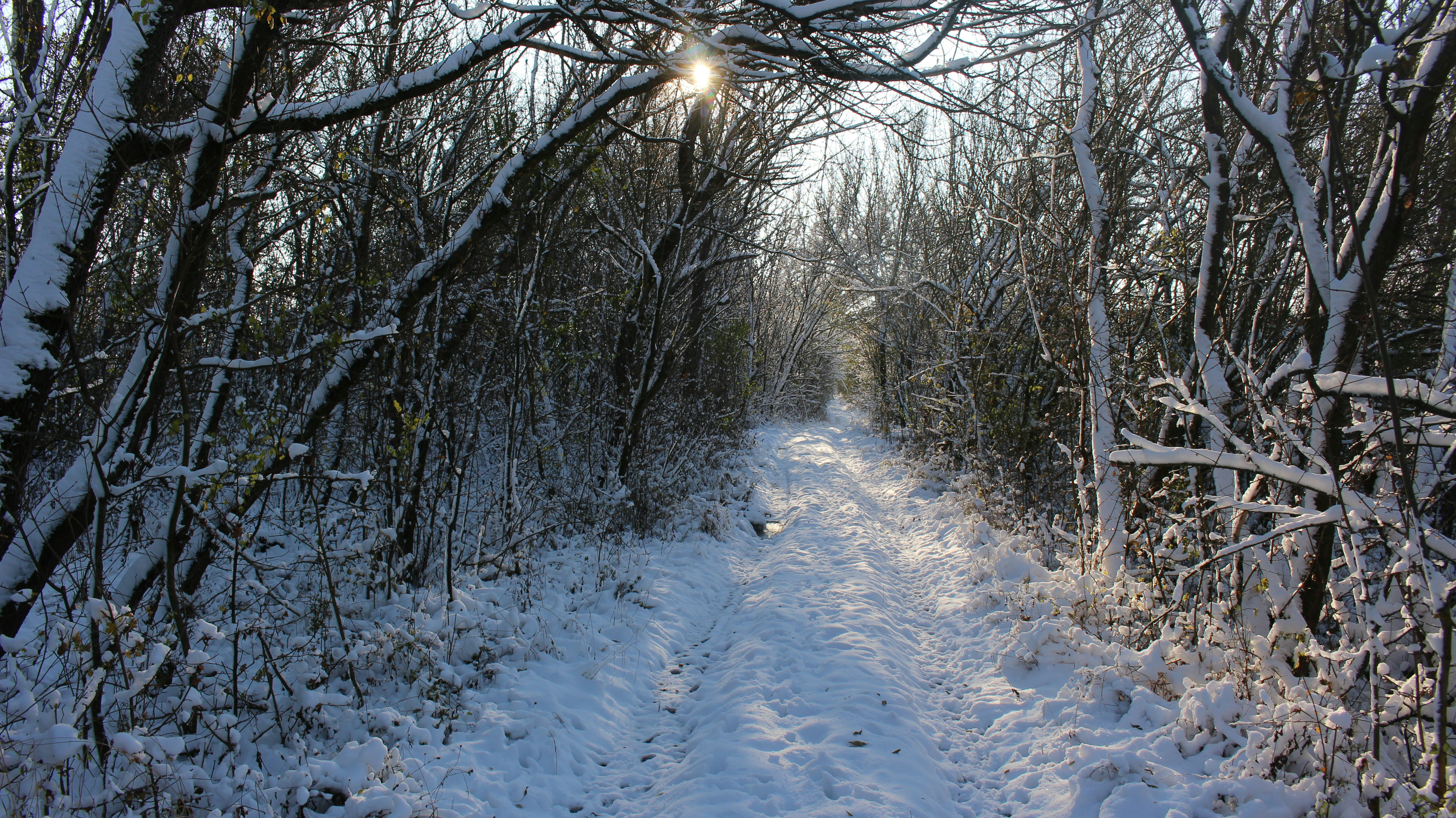 Photo by marjorylucabaxter