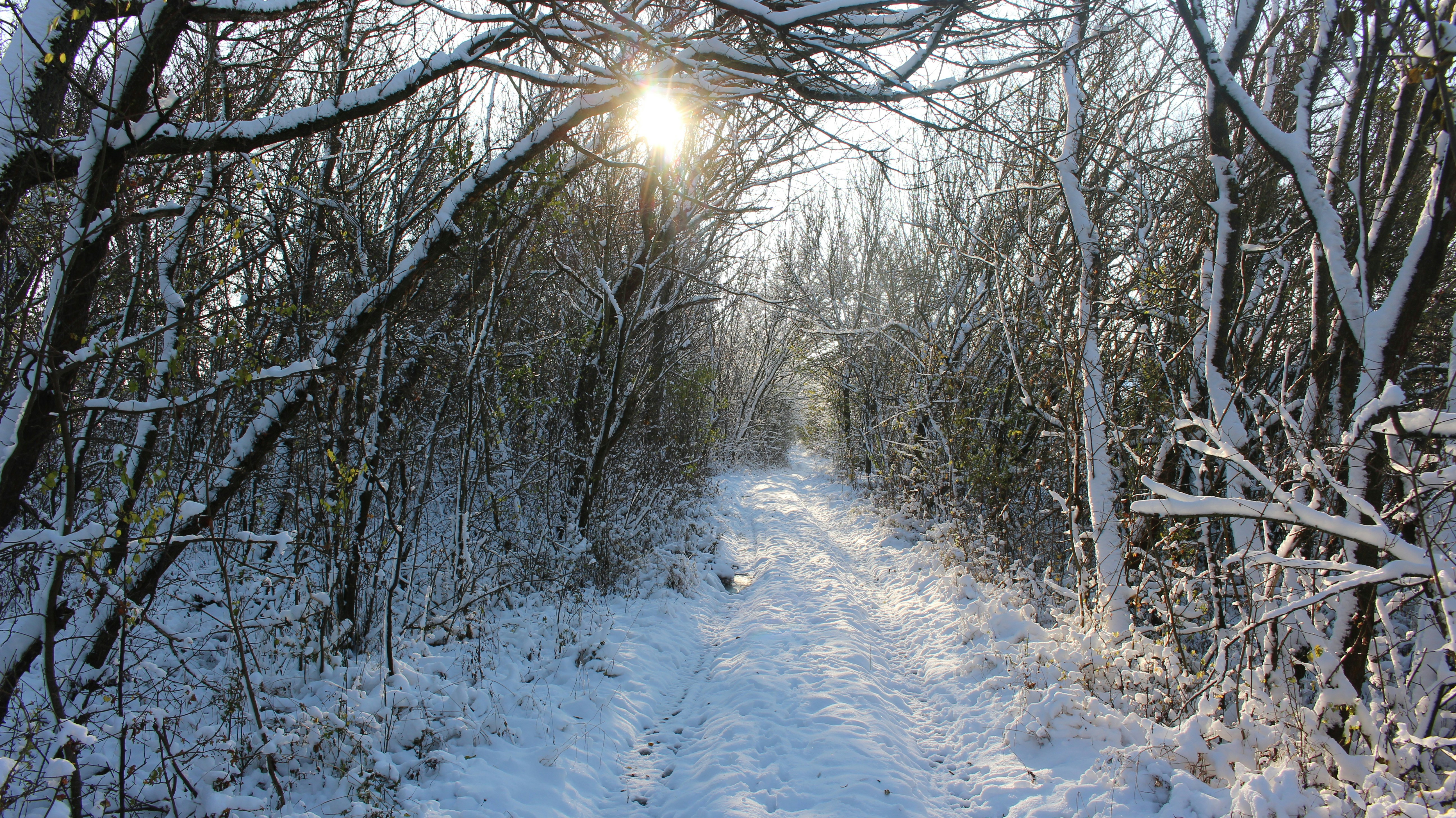 Photo by marjorylucabaxter