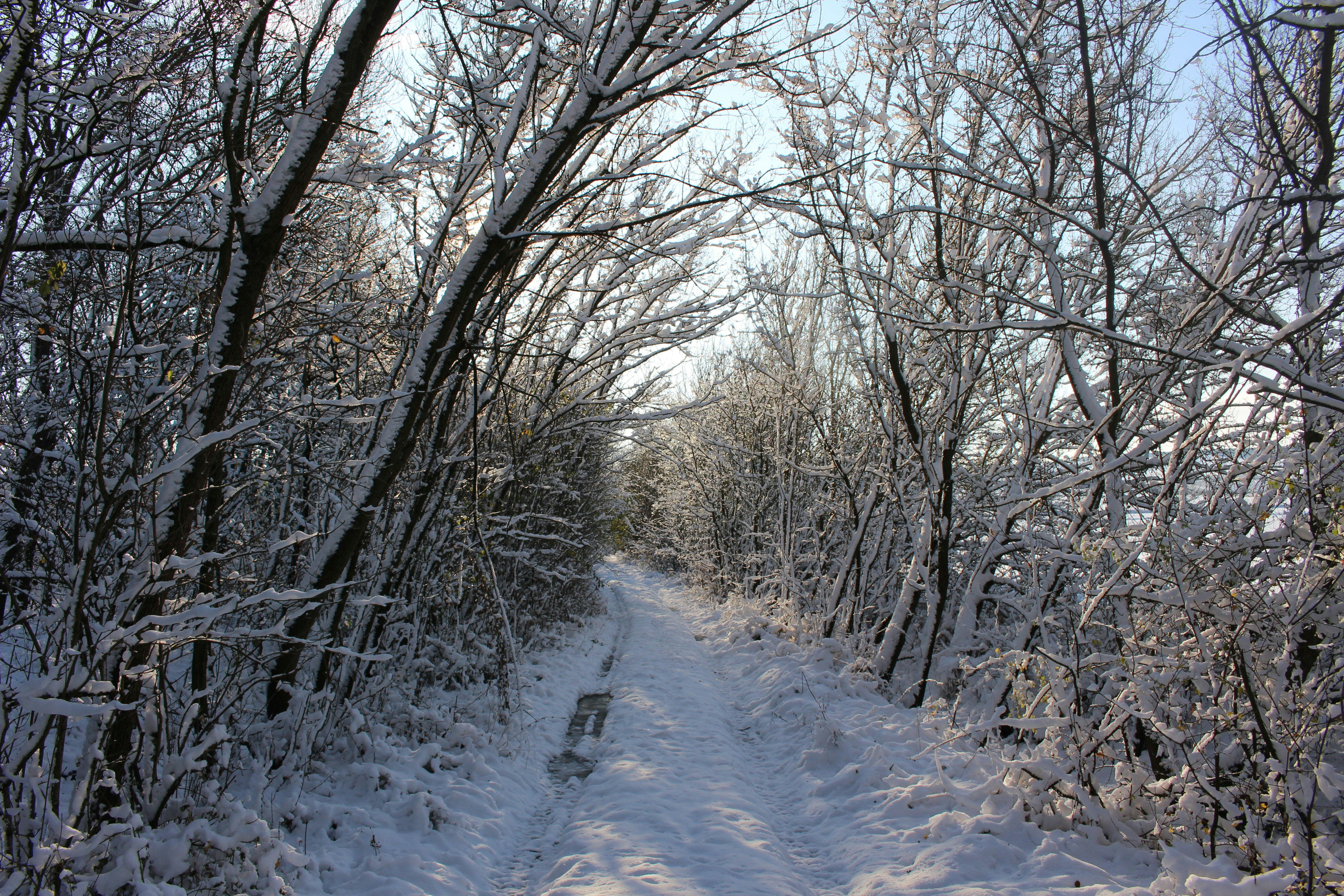 Photo by marjorylucabaxter