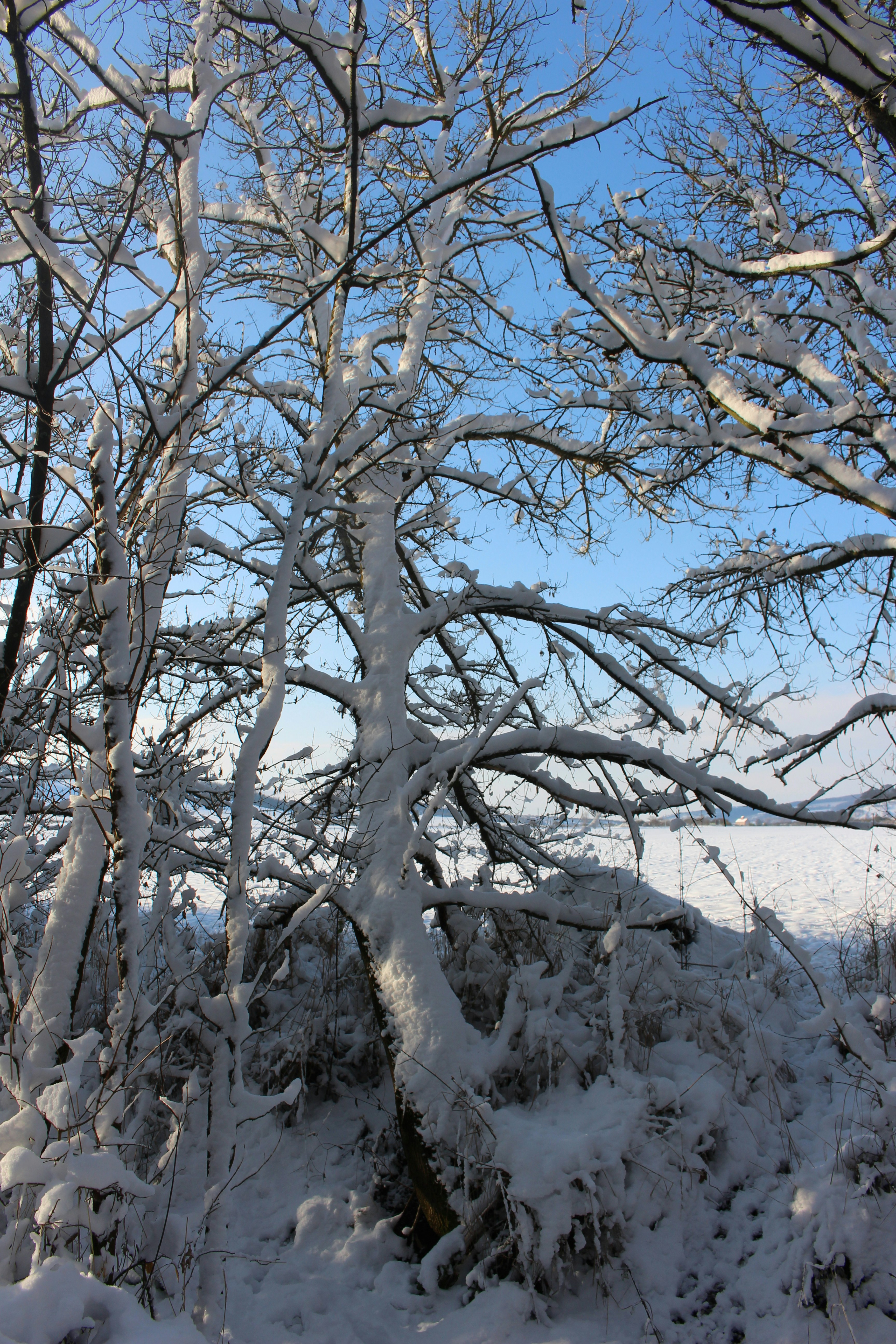 Photo by marjorylucabaxter