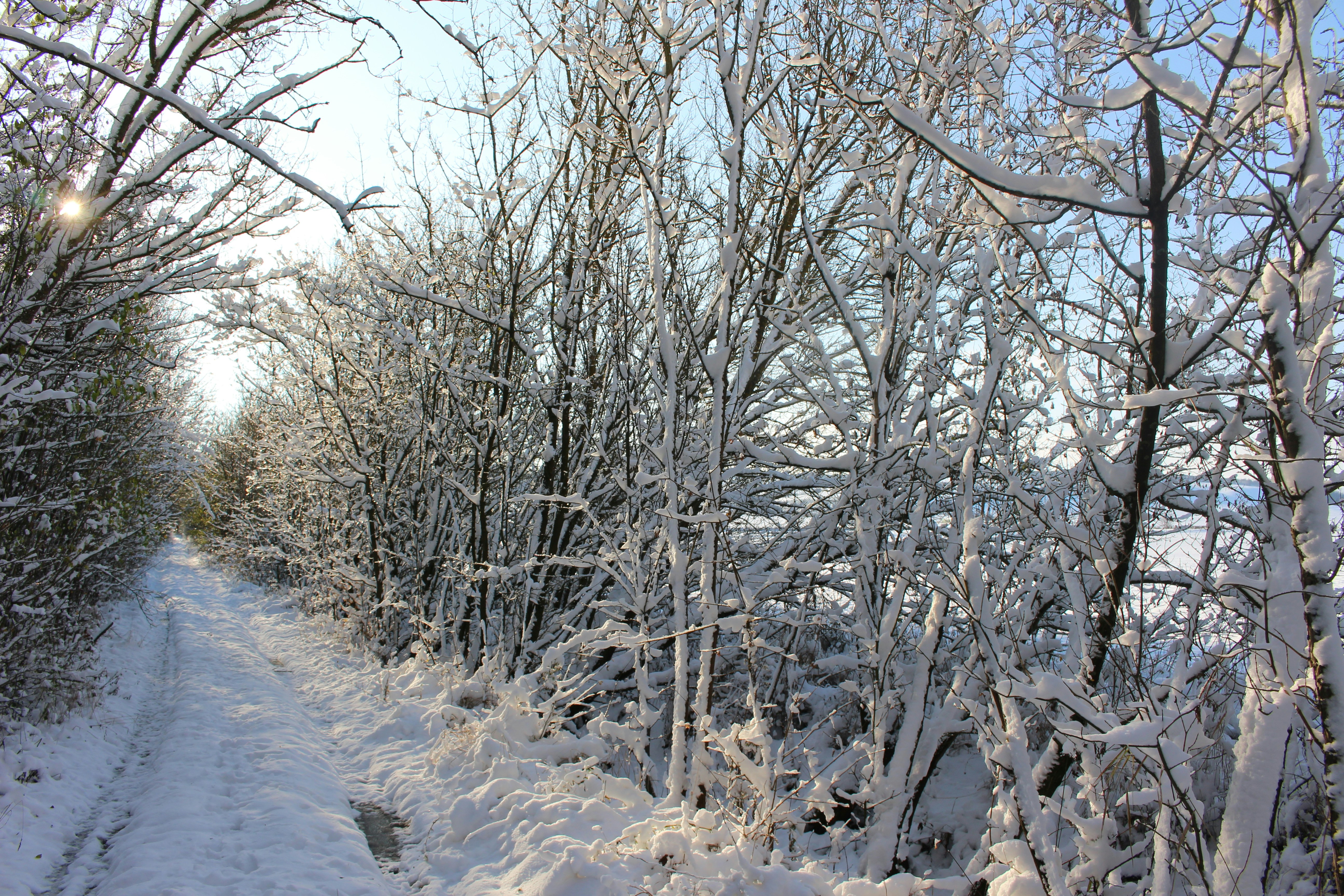 Photo by marjorylucabaxter