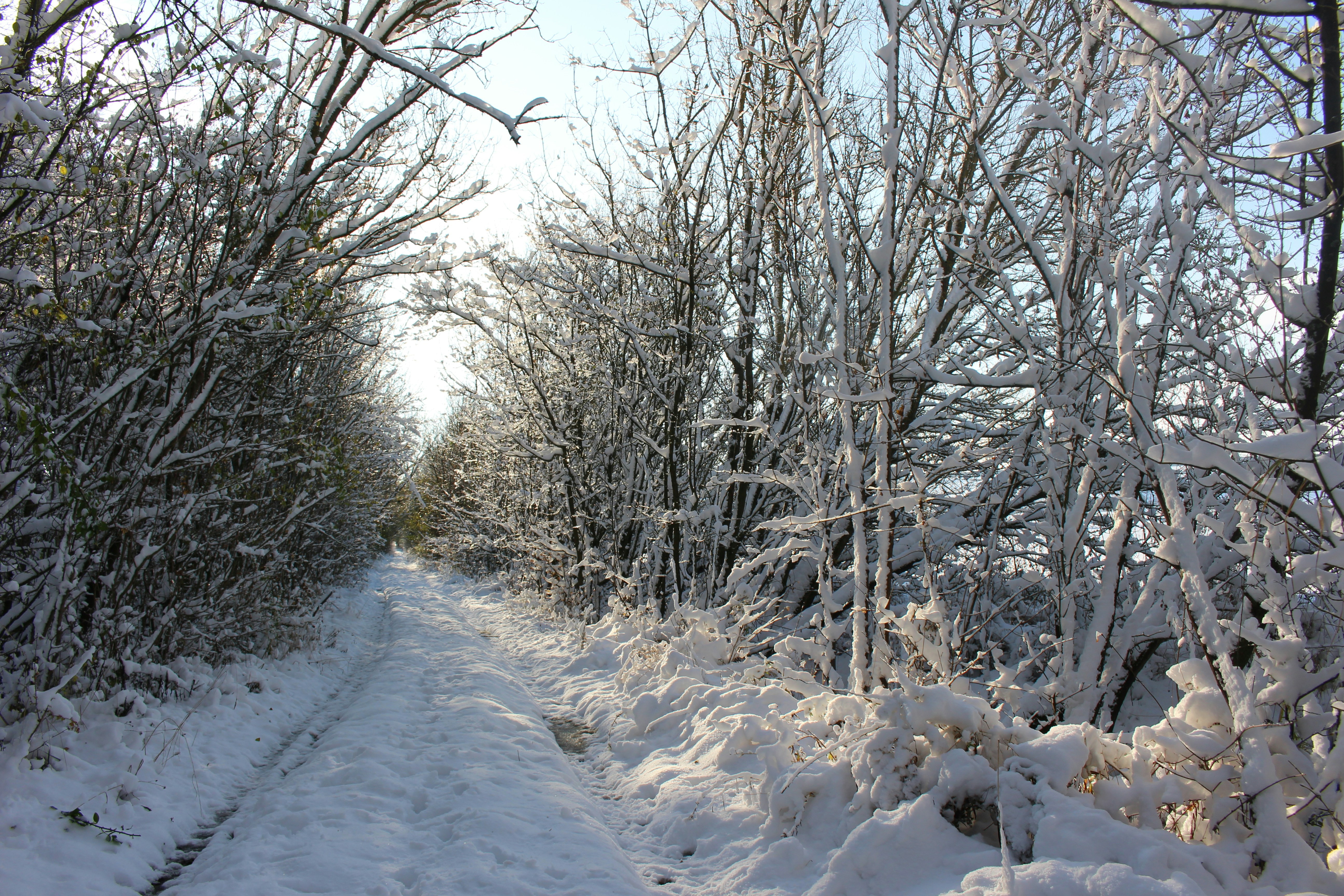 Photo by marjorylucabaxter