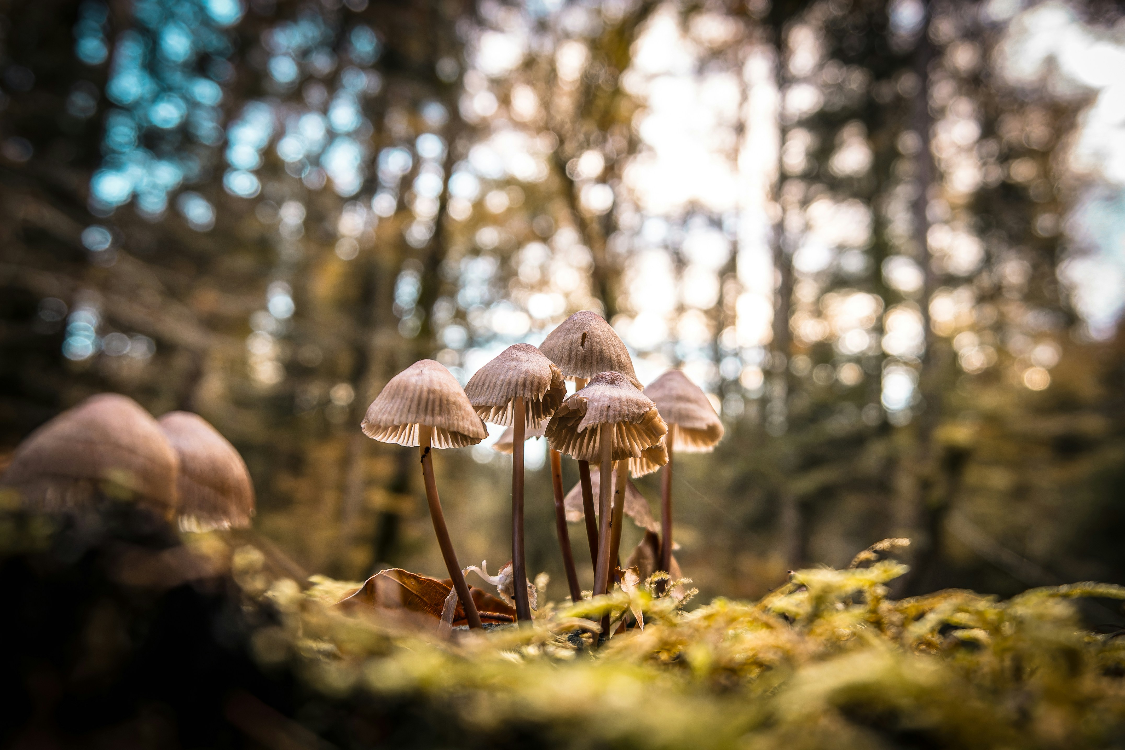 Photo by sarasgalerie