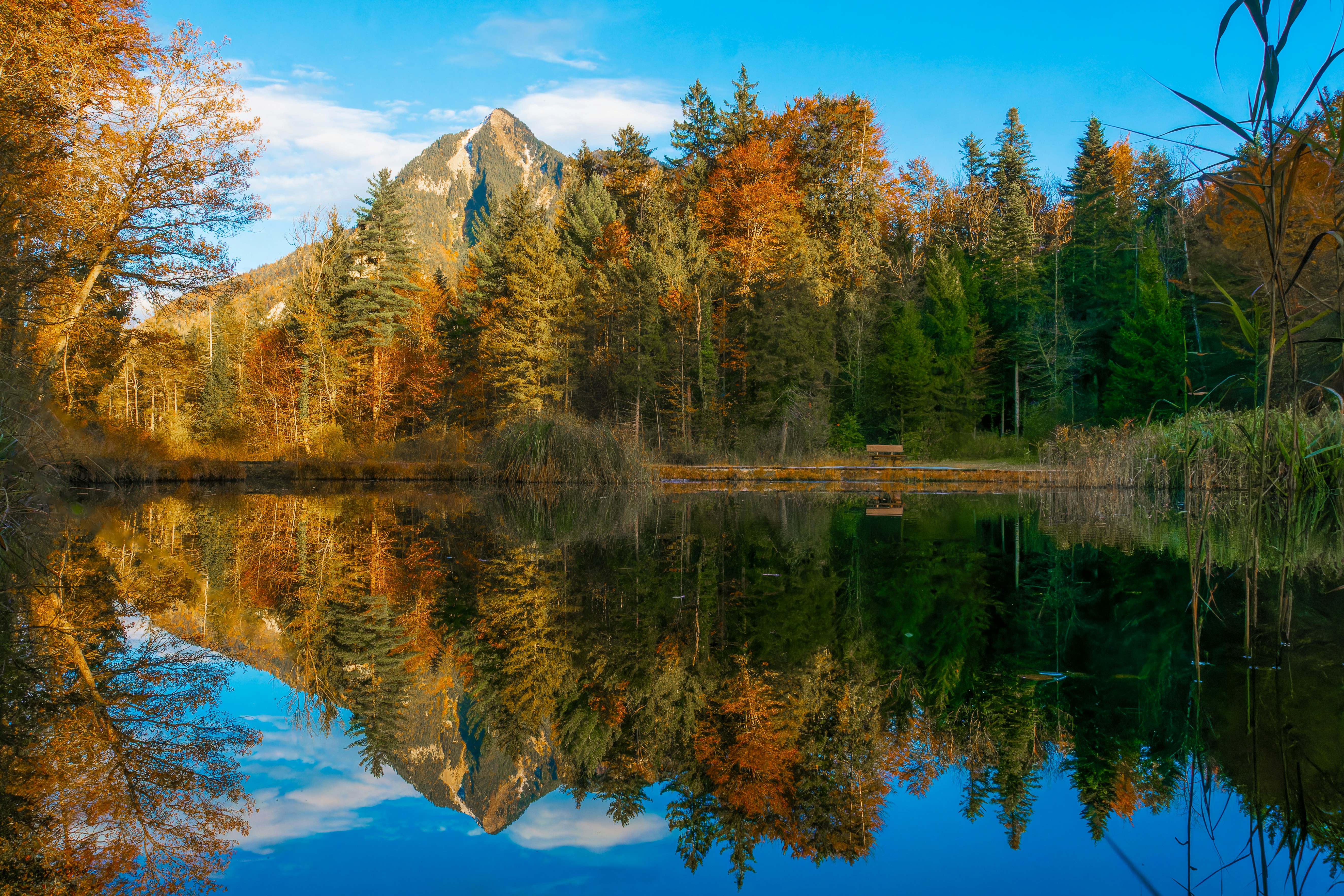 Photo by sarasgalerie