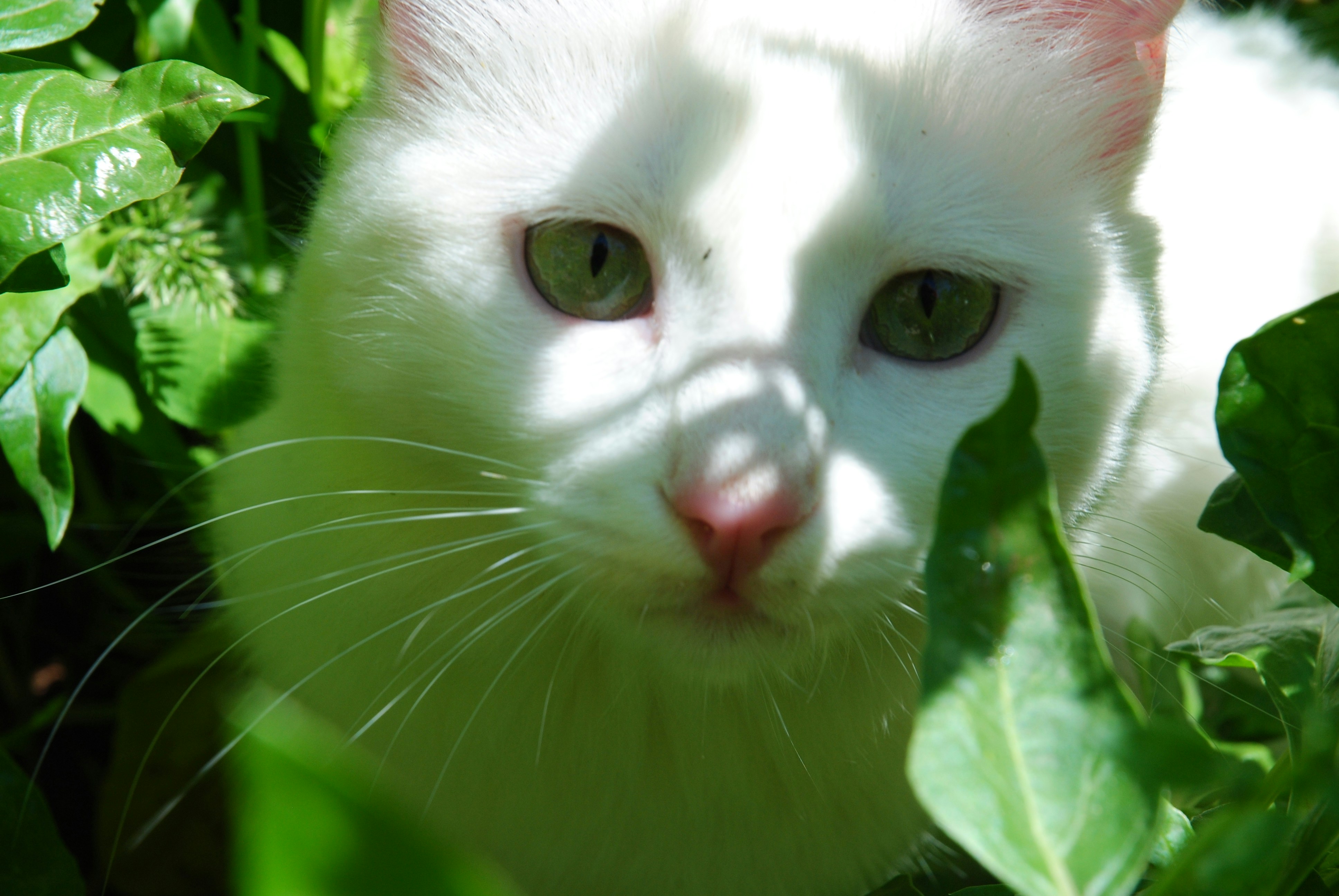 Photo by oumayma_boujelben