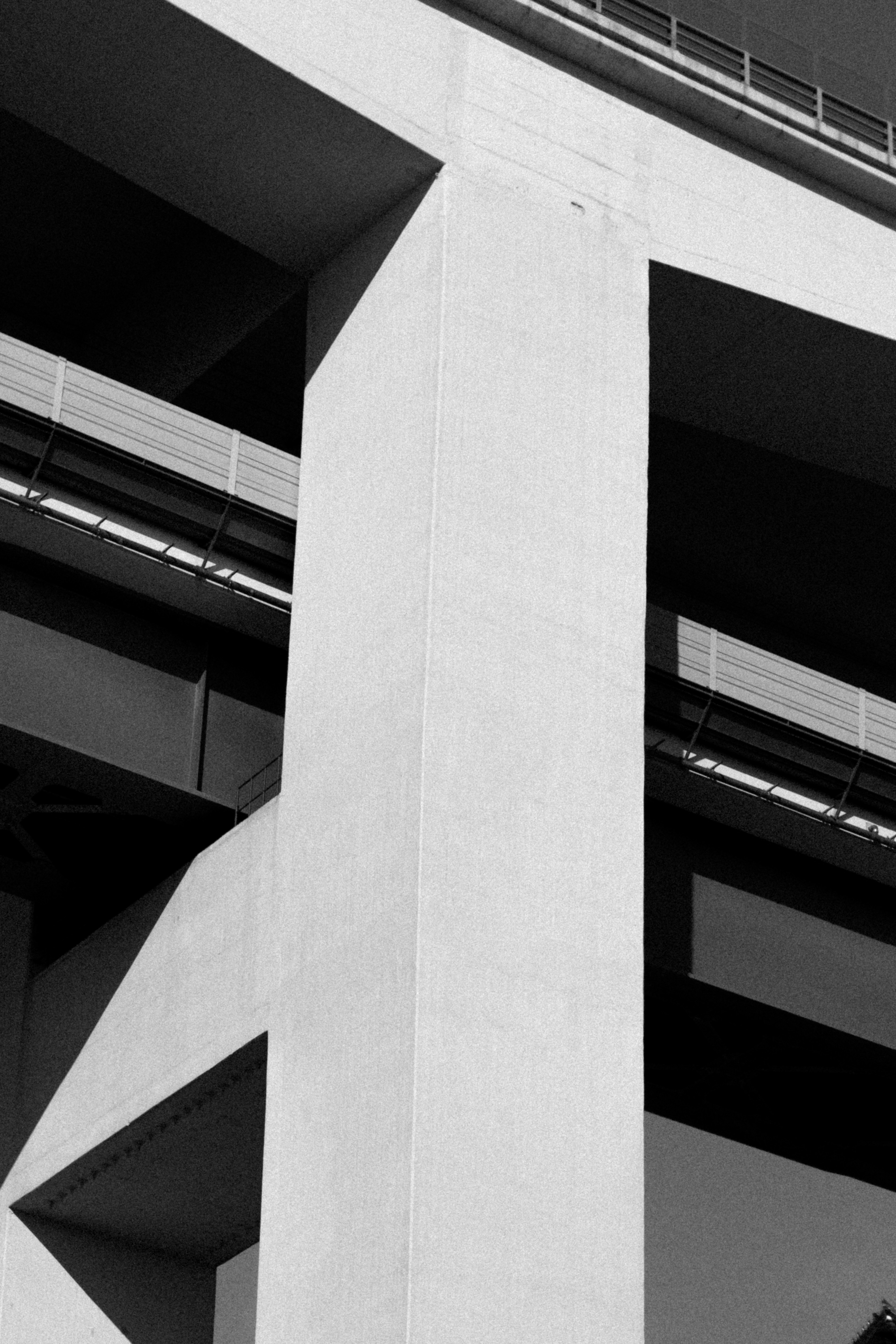 Photo by joaopratsphotography