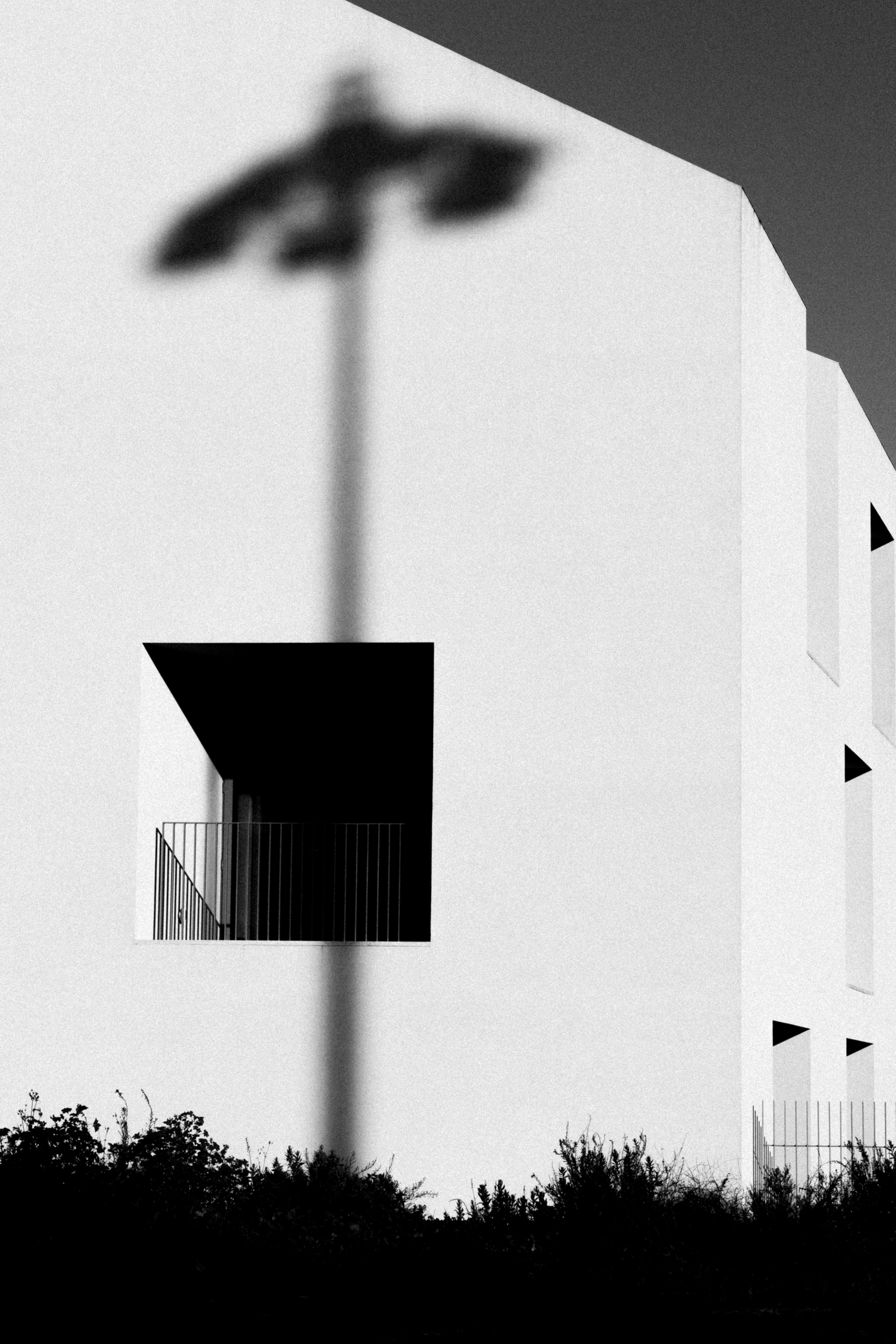 Photo by joaopratsphotography